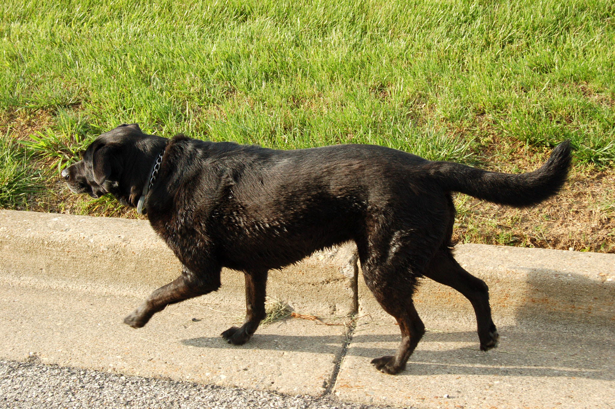 Nikon D50 sample photo. Edited photography