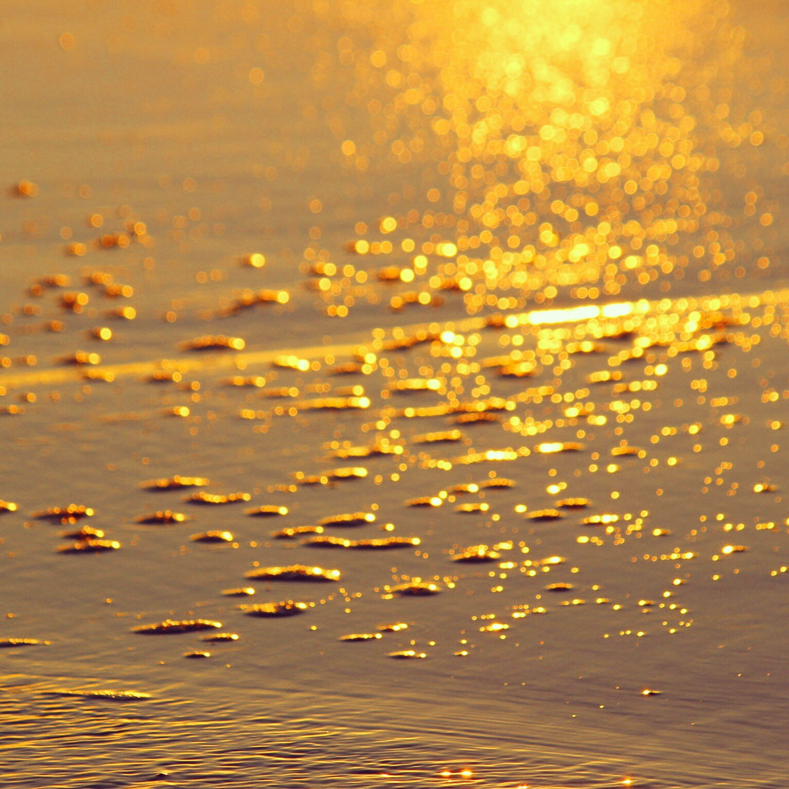 Canon EOS 600D (Rebel EOS T3i / EOS Kiss X5) sample photo. Sunset beach & sand art photography