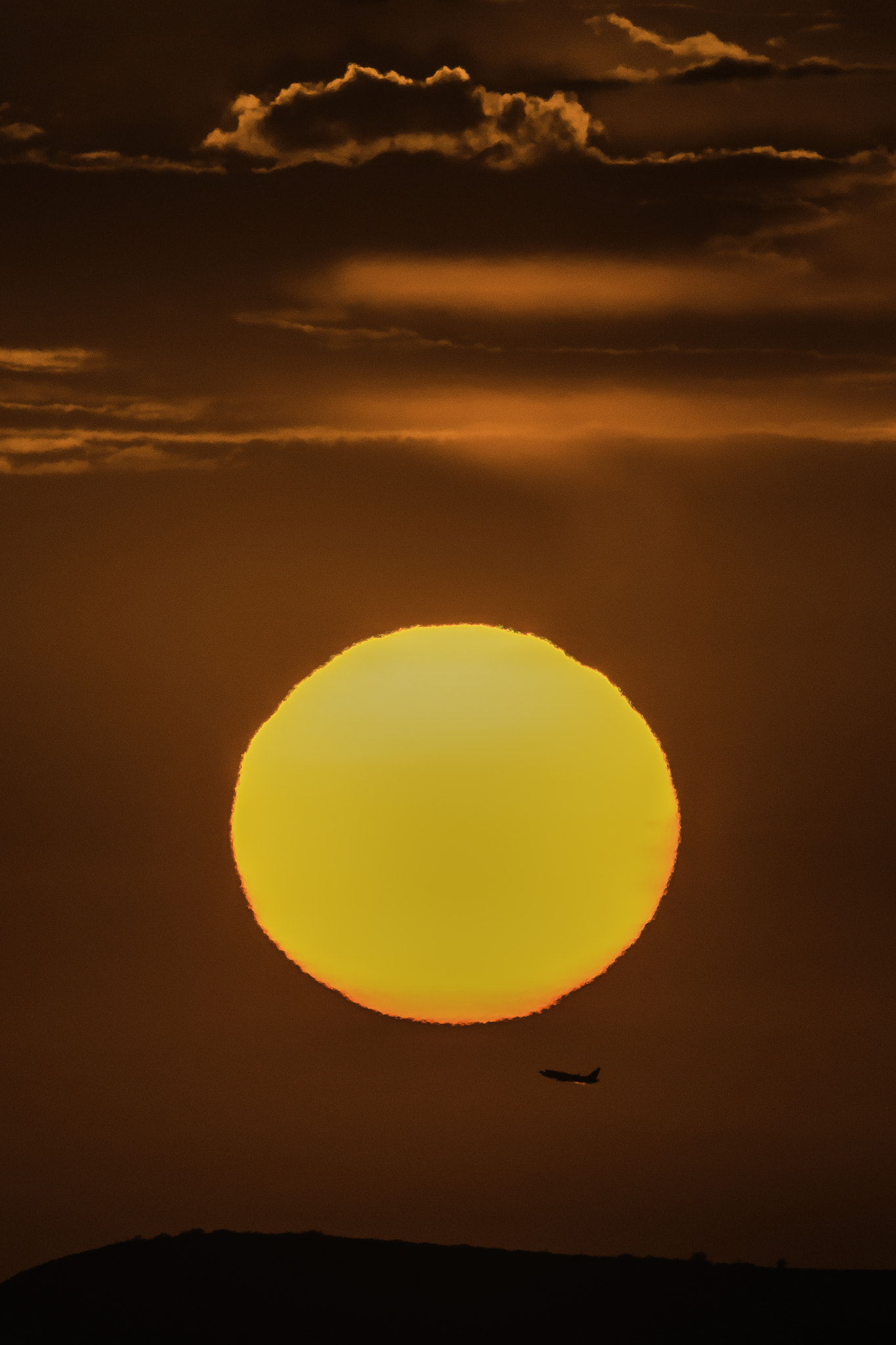 Nikon AF-S Nikkor 500mm F4E FL ED VR sample photo. Flight 311 photography