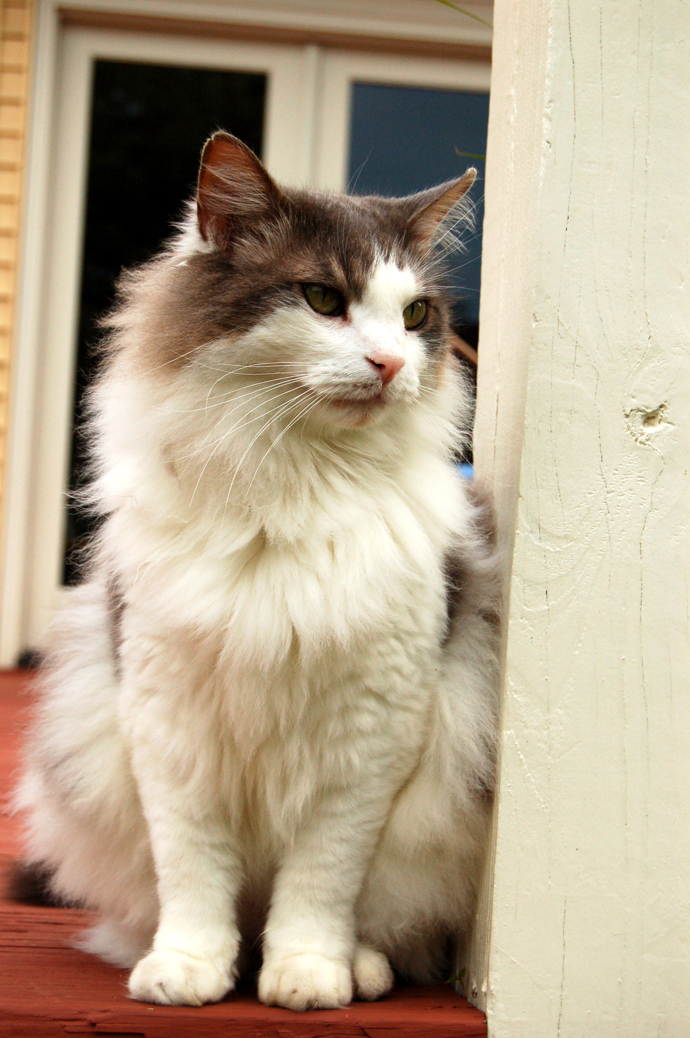 Nikon D50 sample photo. Edited photography
