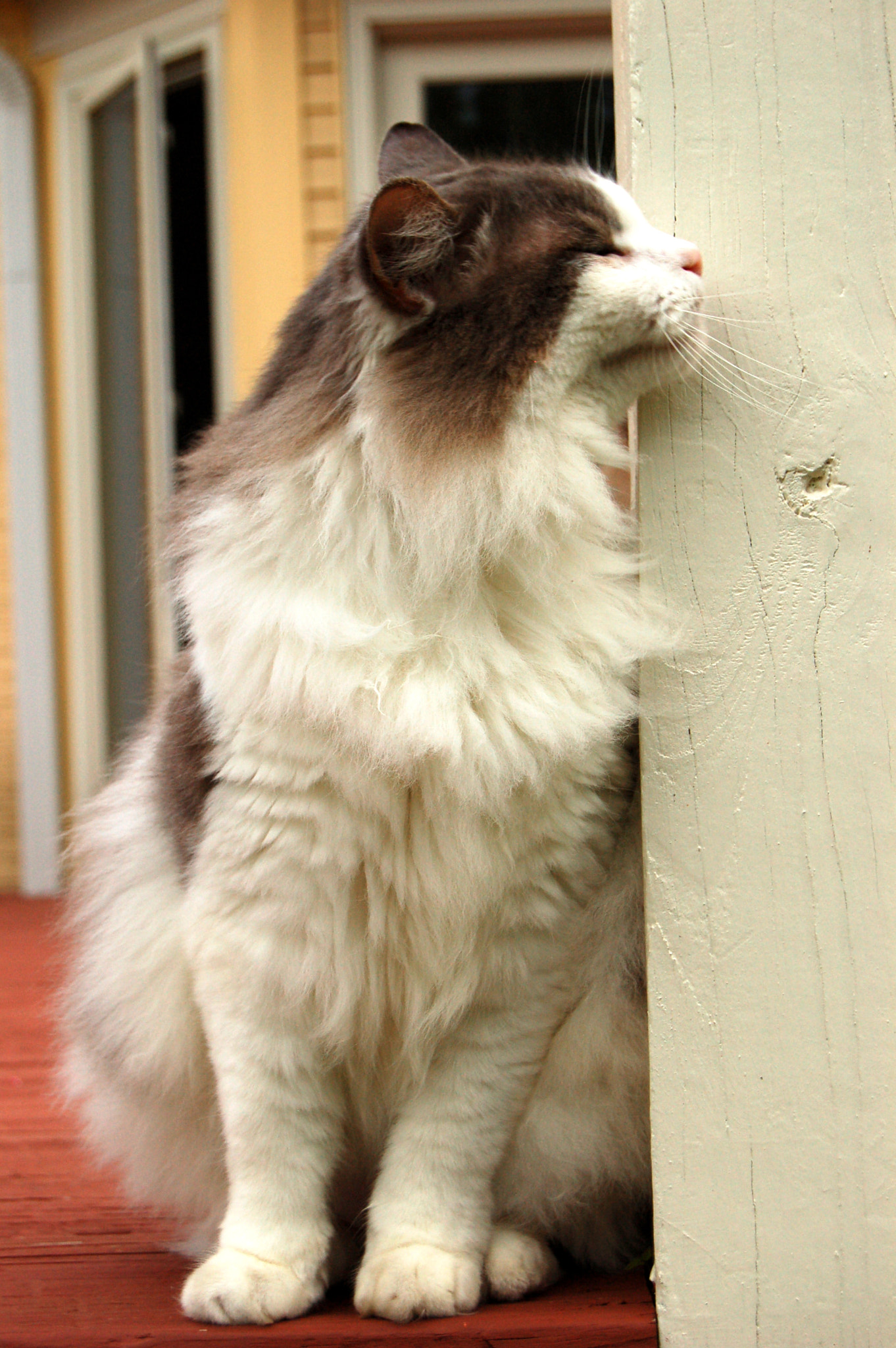 Nikon D50 sample photo. Edited photography