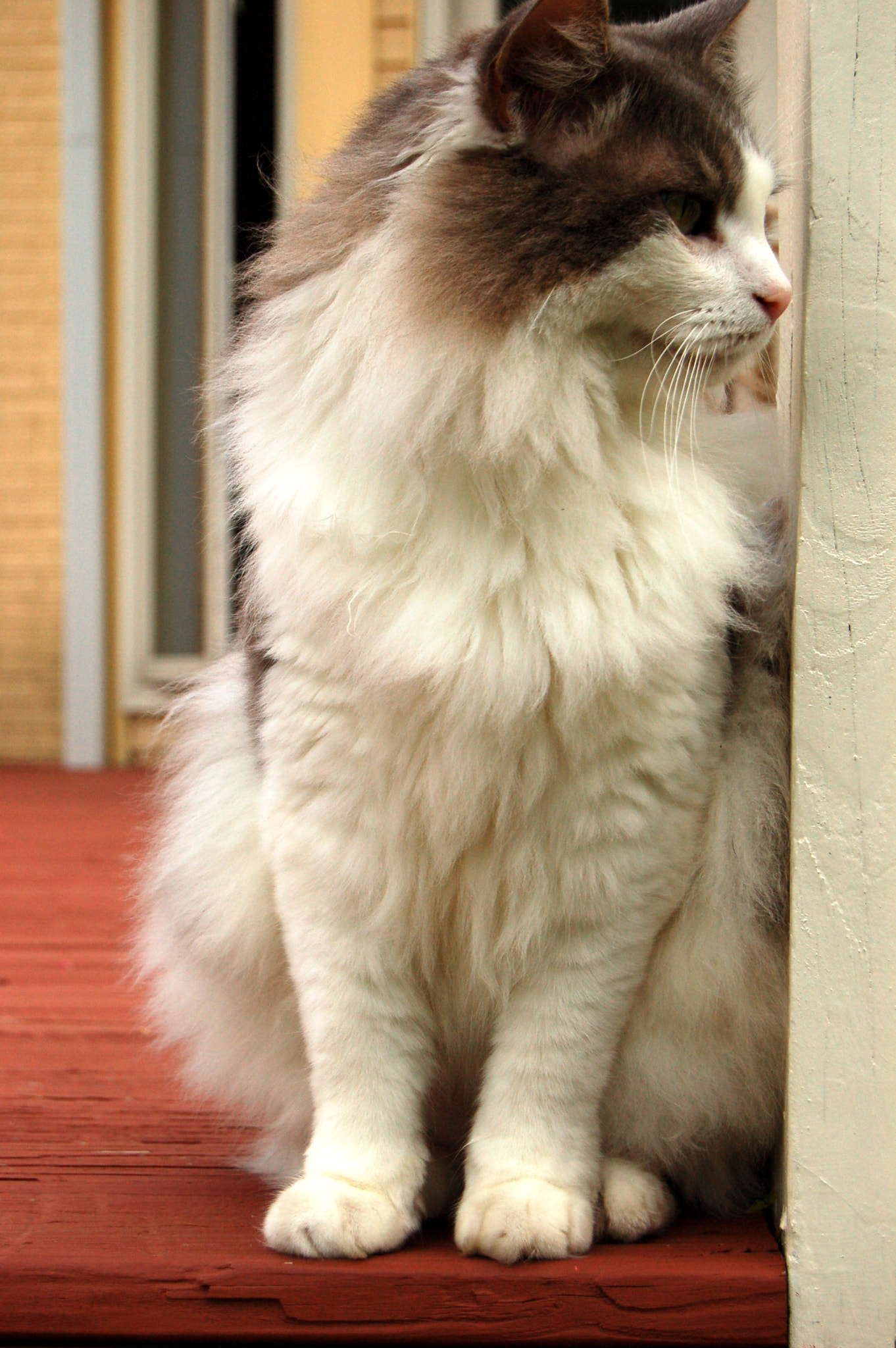 Nikon D50 sample photo. Edited photography