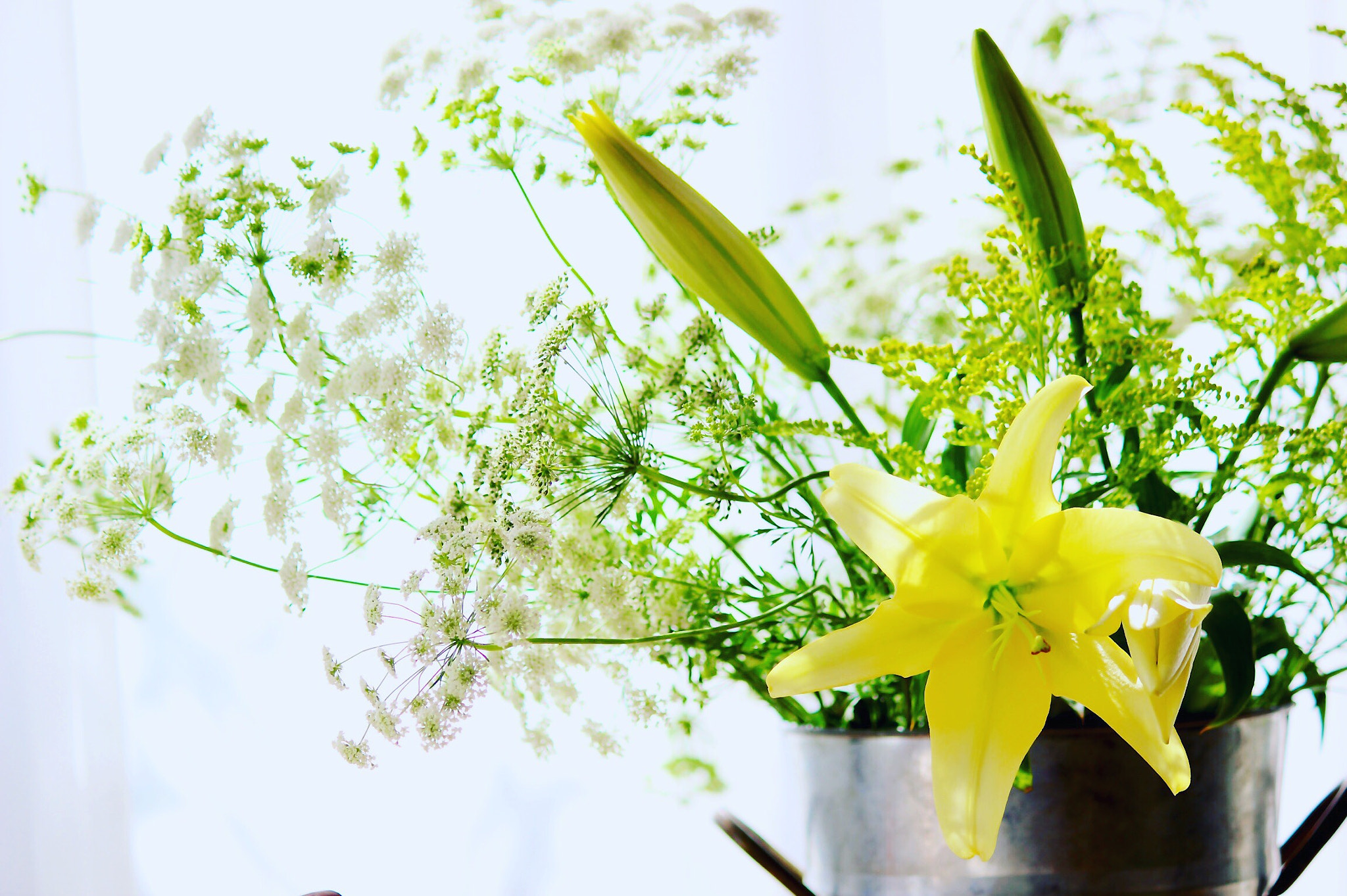 Canon EOS 600D (Rebel EOS T3i / EOS Kiss X5) sample photo. Laceflower & yellow lily photography