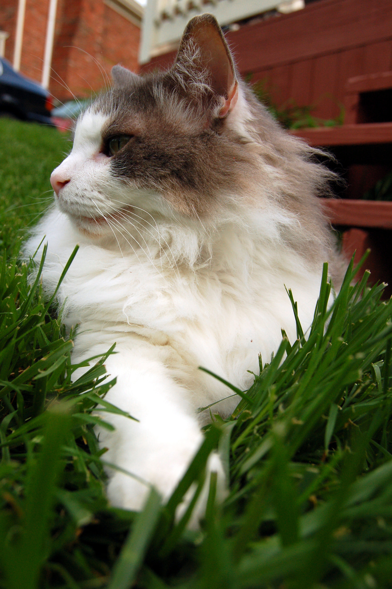 Nikon D50 sample photo. Edited photography