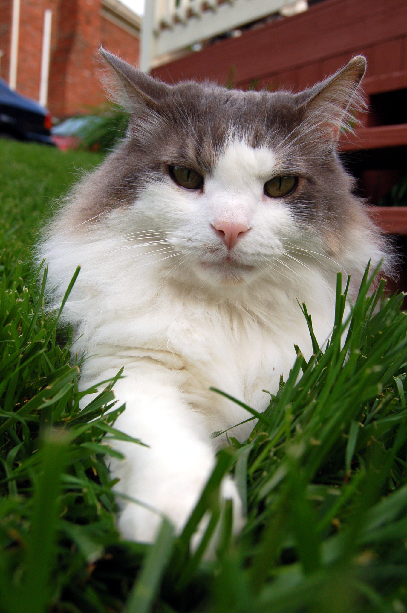 Nikon D50 sample photo. Edited photography