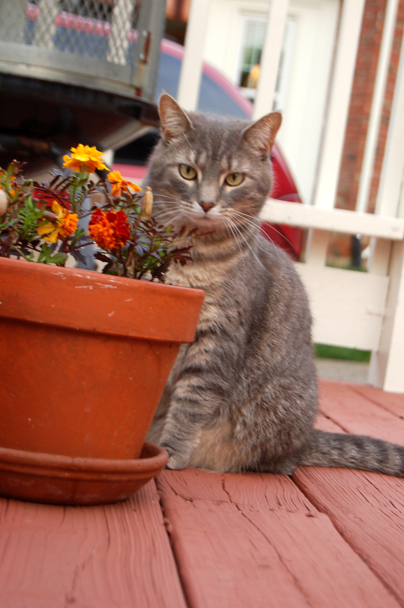 Nikon D50 sample photo. Edited photography