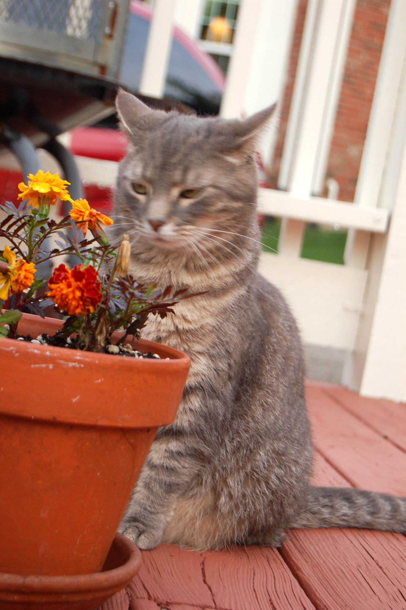 Nikon D50 sample photo. Edited photography