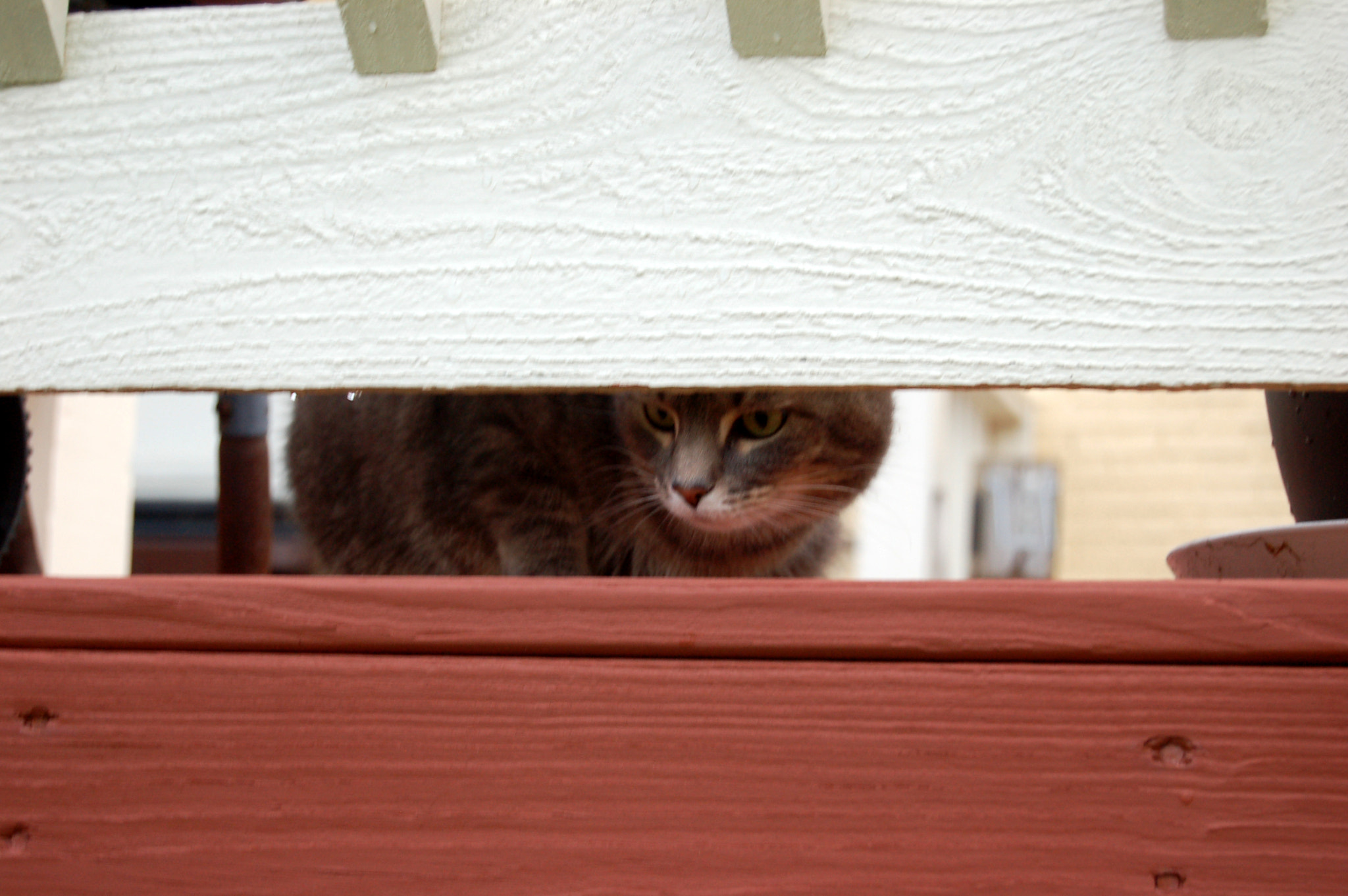 Nikon D50 sample photo. Edited photography