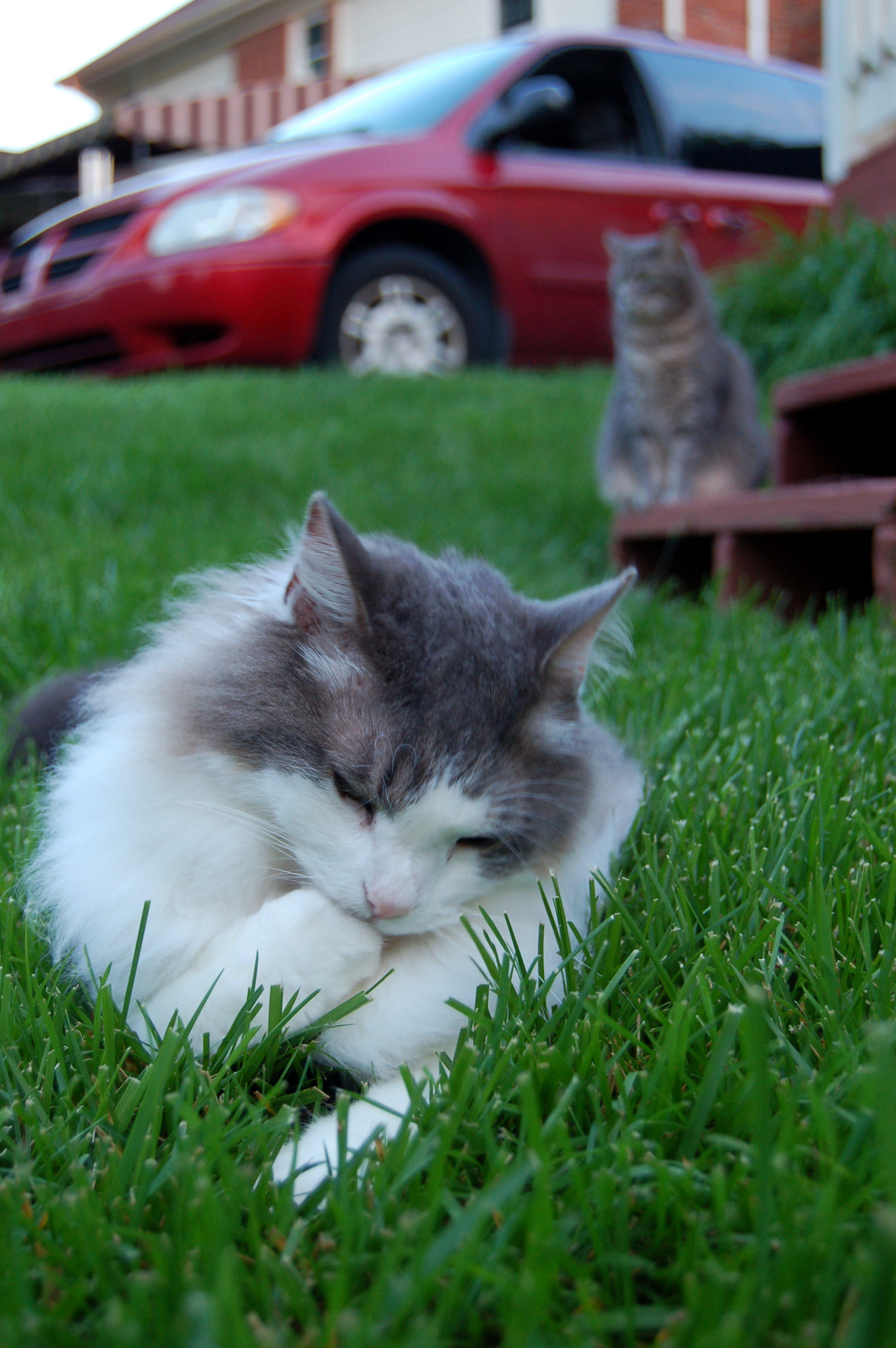 Nikon D50 sample photo. Edited photography