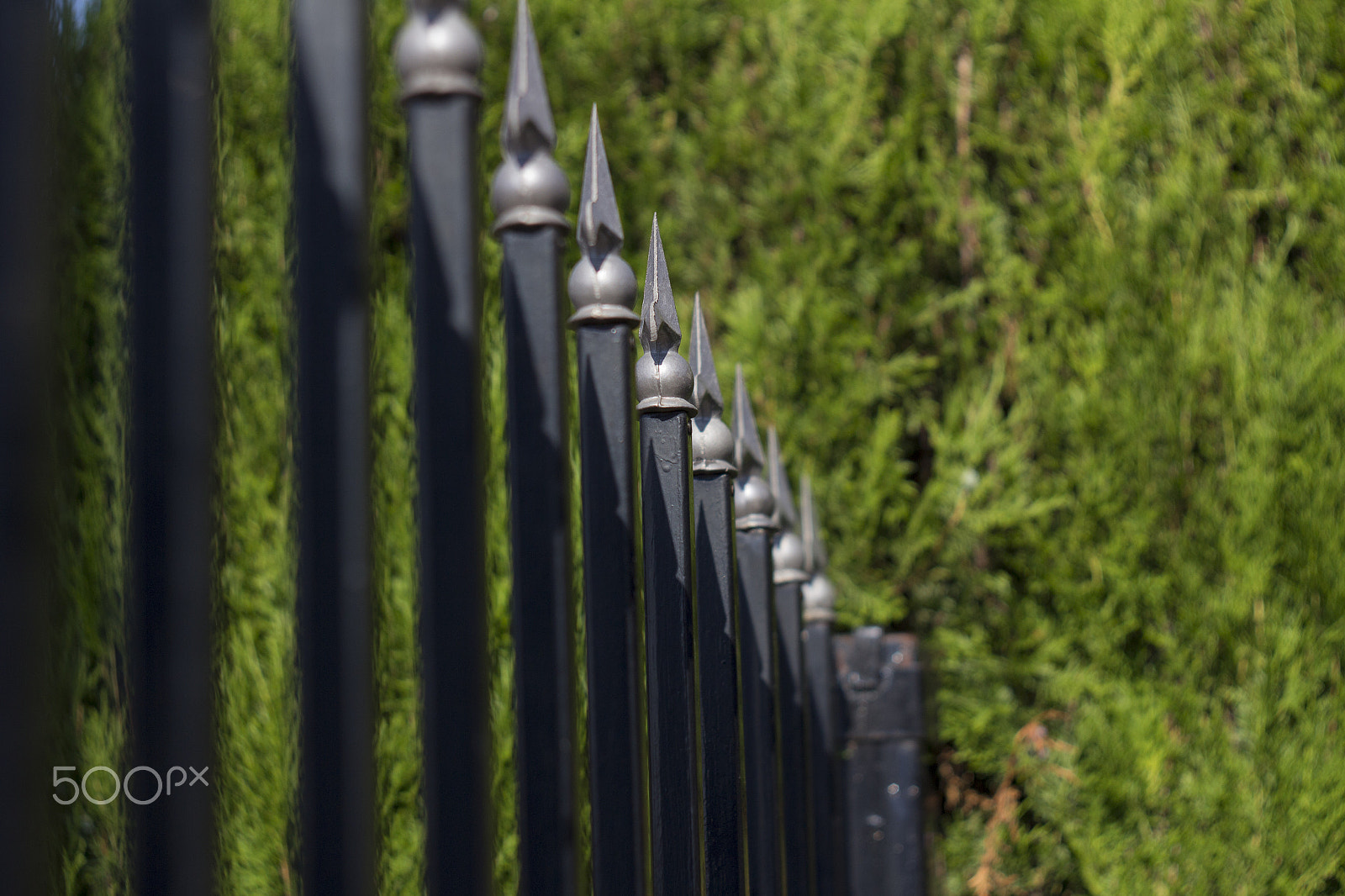 Canon EF 35-80mm f/4-5.6 sample photo. Iron gate with spikes photography