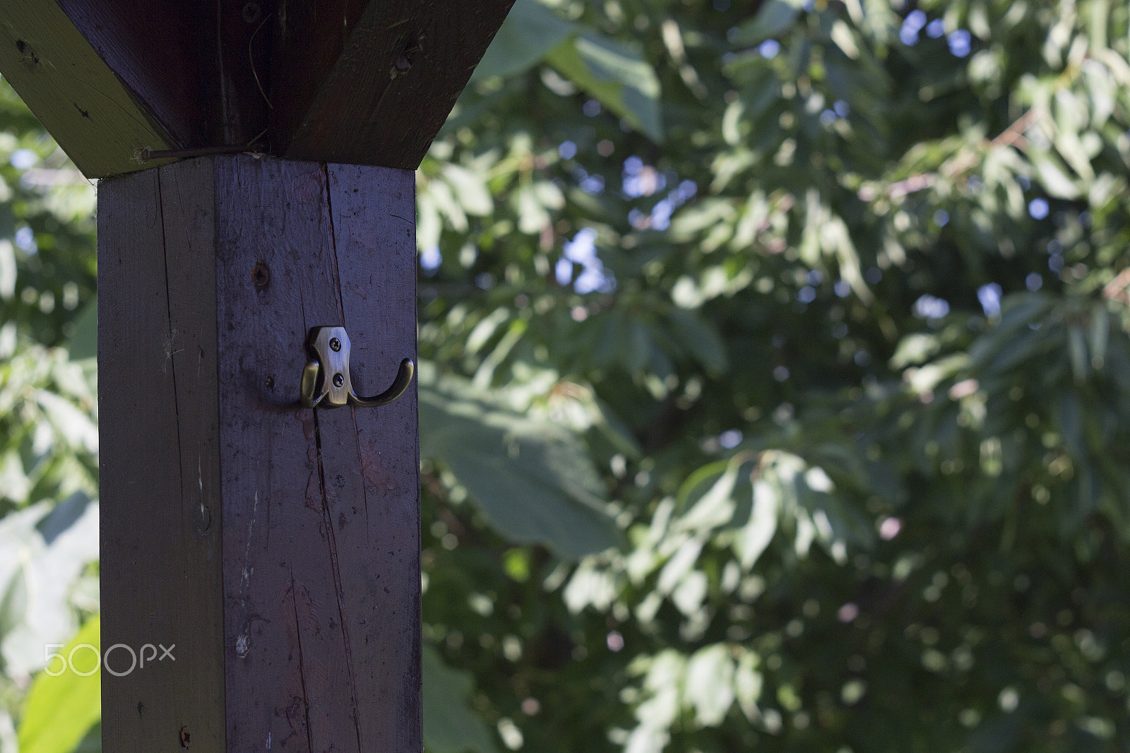 Canon EF 35-80mm f/4-5.6 sample photo. Hang something here photography