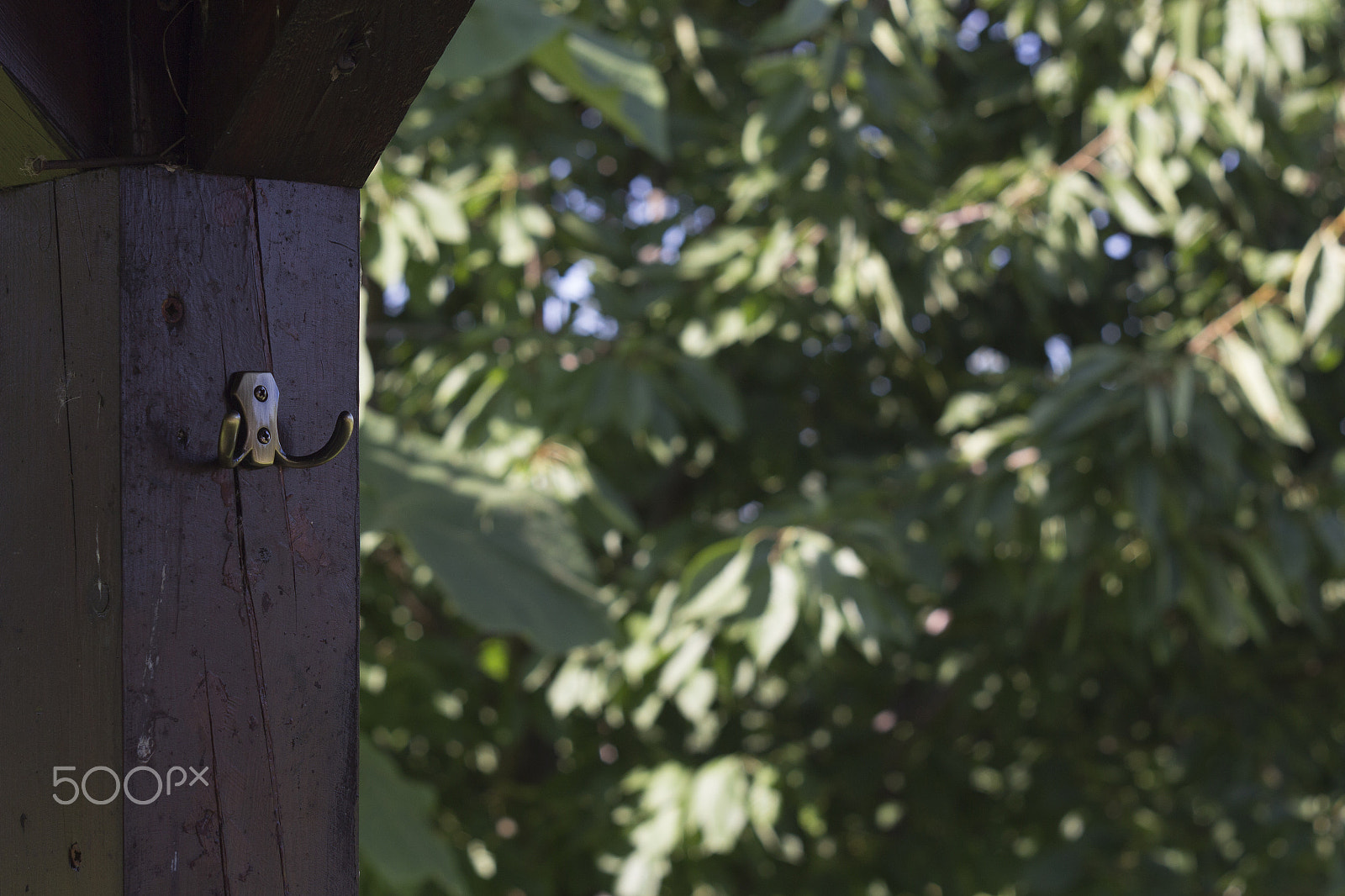 Canon EF 35-80mm f/4-5.6 sample photo. Hang something here too photography