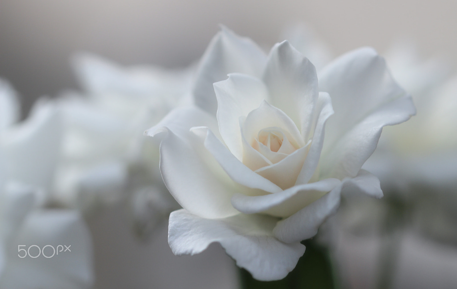 Sigma 105mm F2.8 EX DG OS HSM sample photo. Clouds photography