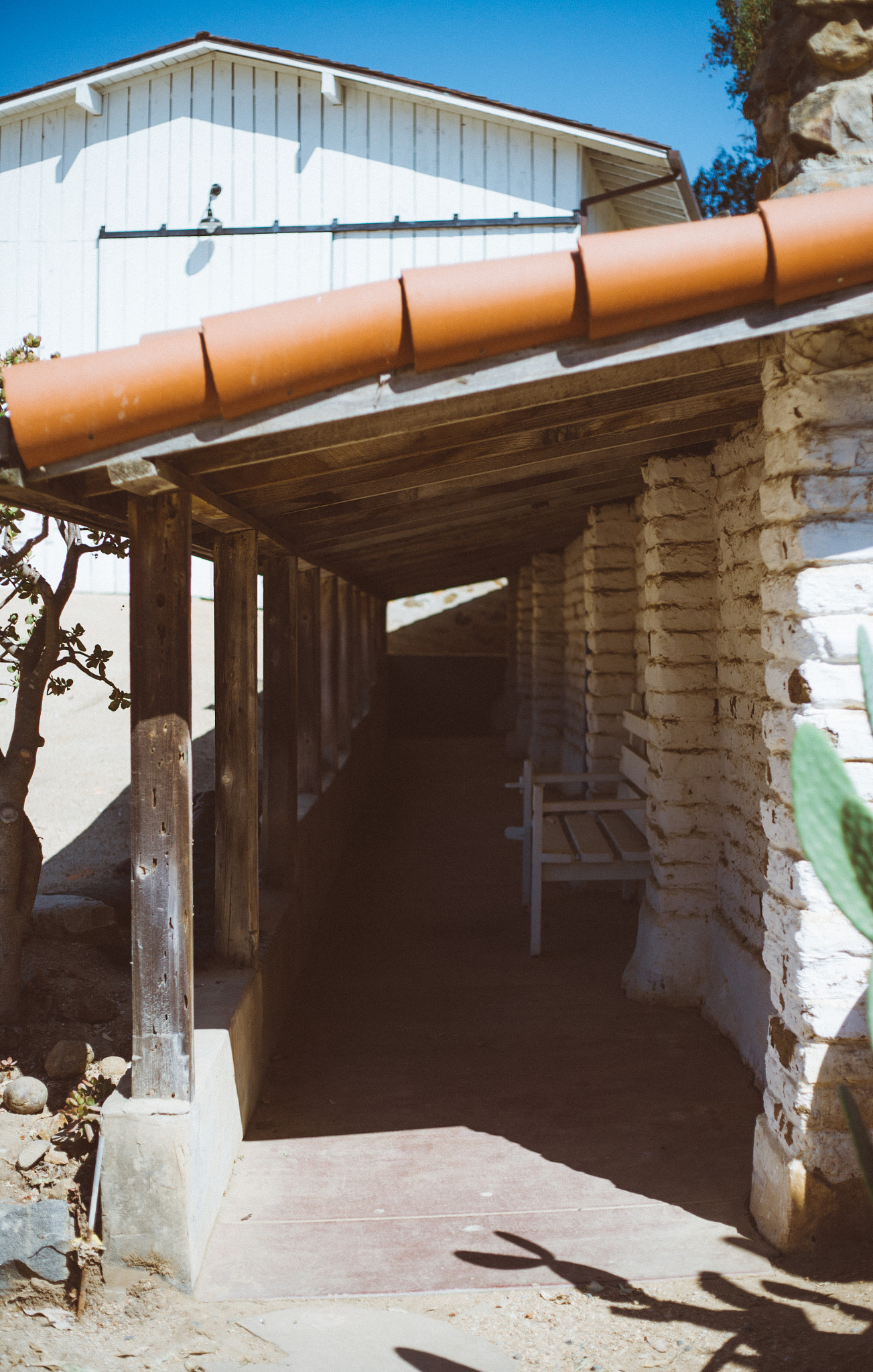 Canon EOS-1Ds Mark II + Canon EF 50mm F1.8 II sample photo. Finding shade photography