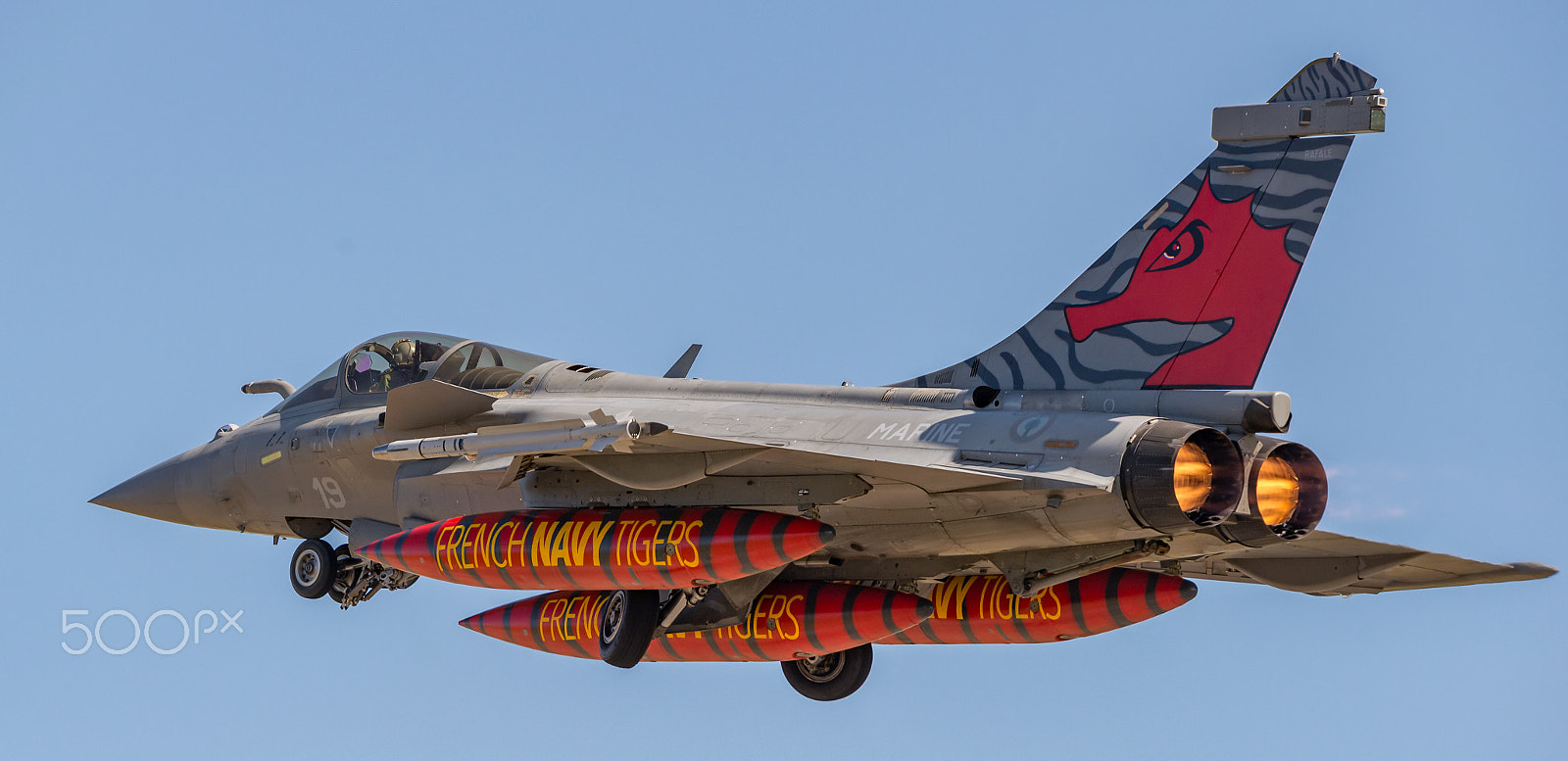 Sigma 150-600mm F5-6.3 DG OS HSM | C sample photo. Rafale m photography