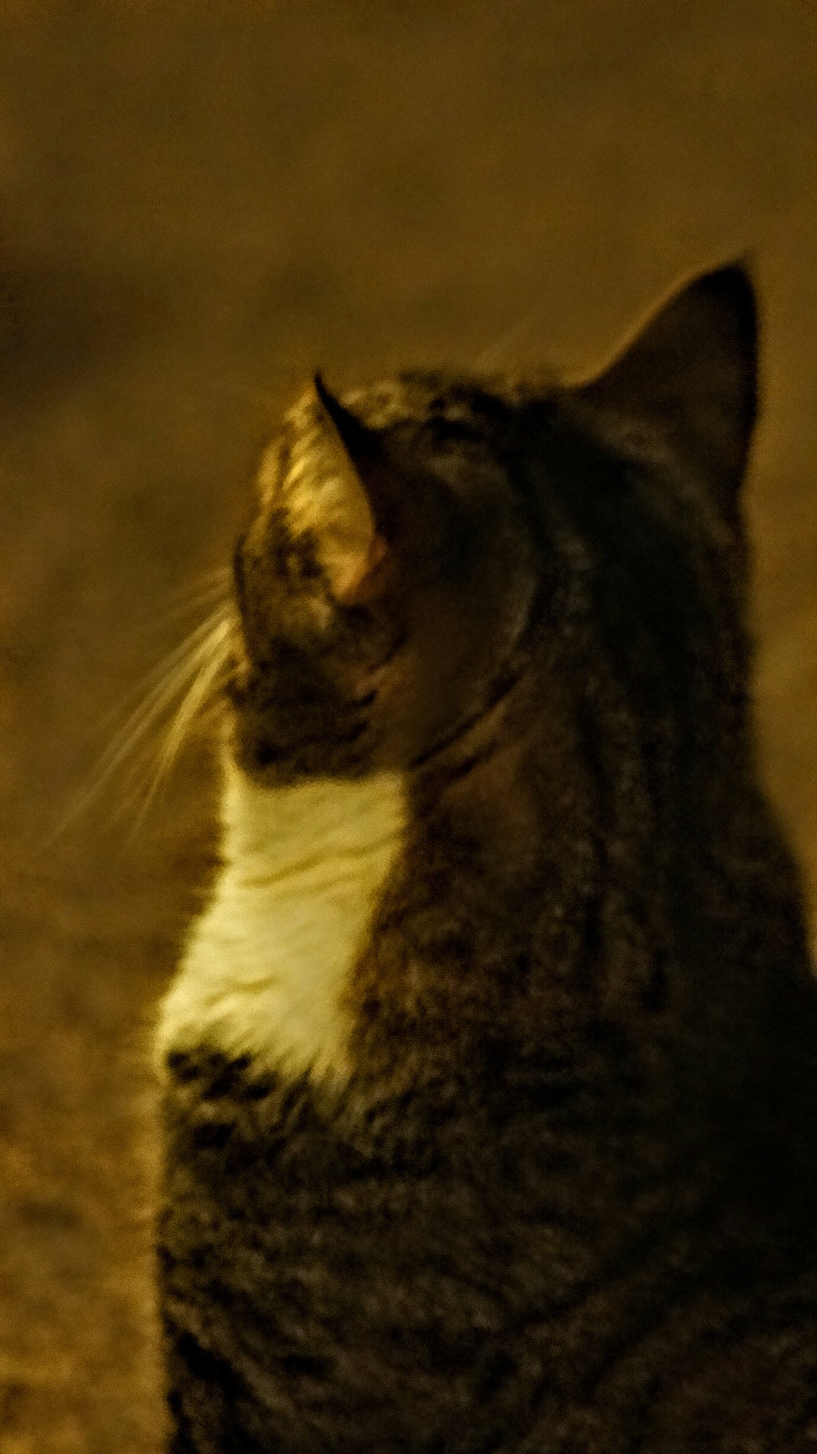 Sony 75-300mm F4.5-5.6 sample photo