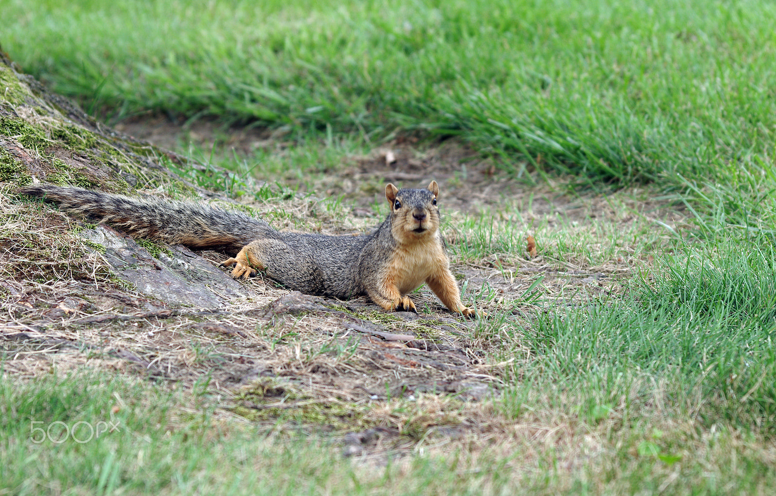 Pentax K-5 sample photo. K5im8285.jpg photography