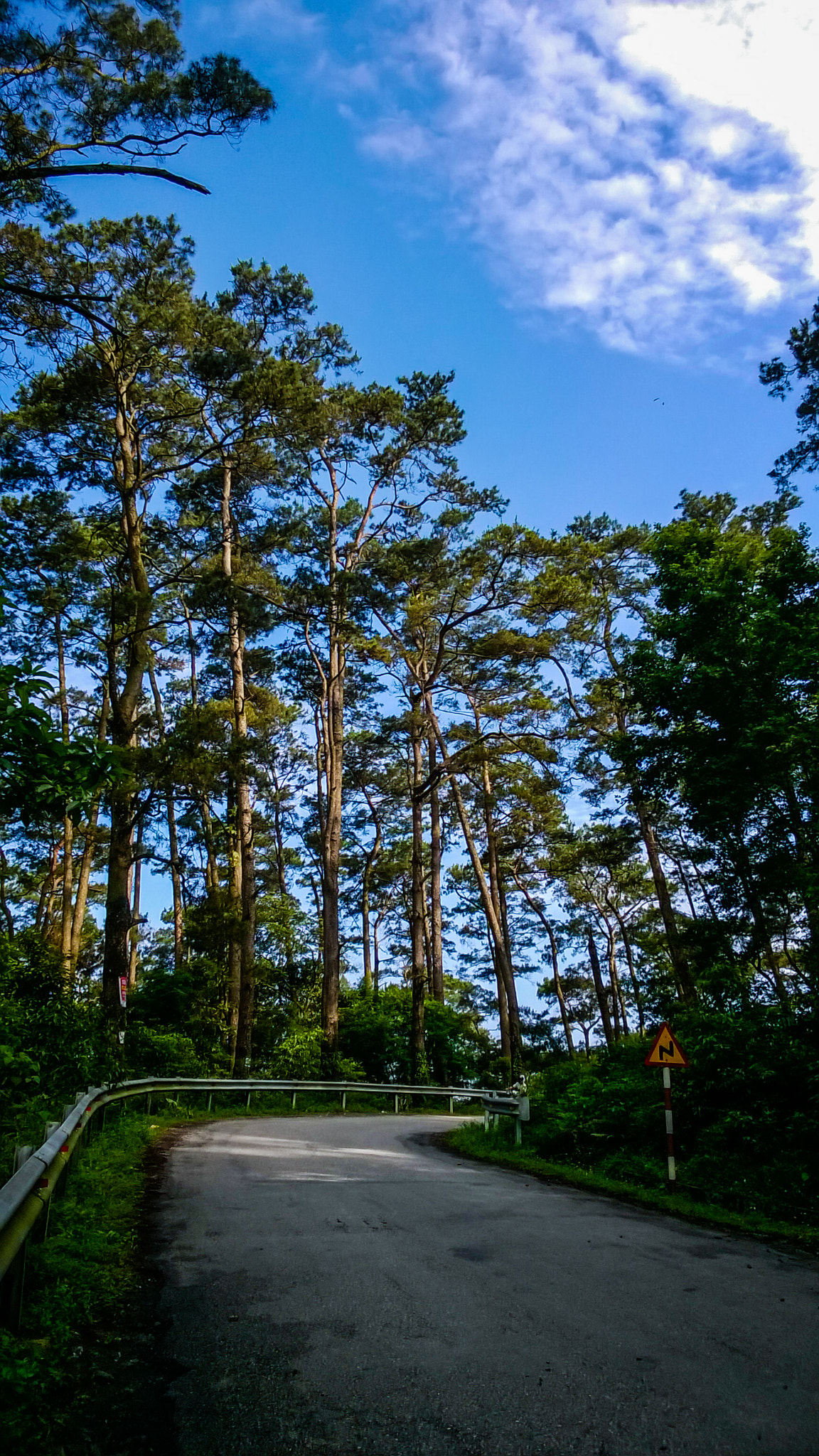 Nokia Lumia 730 Dual SIM sample photo. Pro photography