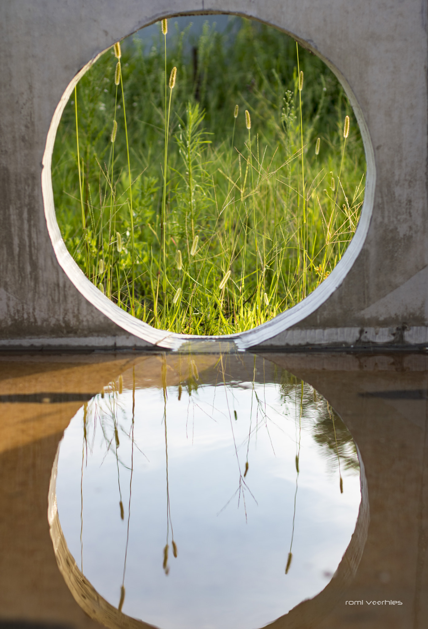 Canon EOS 750D (EOS Rebel T6i / EOS Kiss X8i) sample photo. Incidental reflection photography