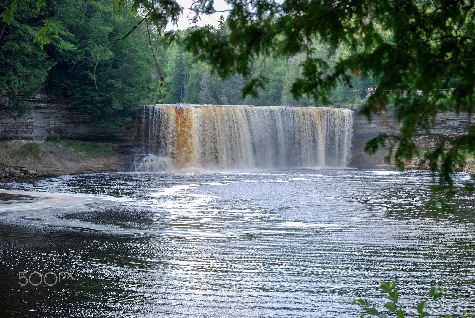 Nikon D40X sample photo. A glimpse photography