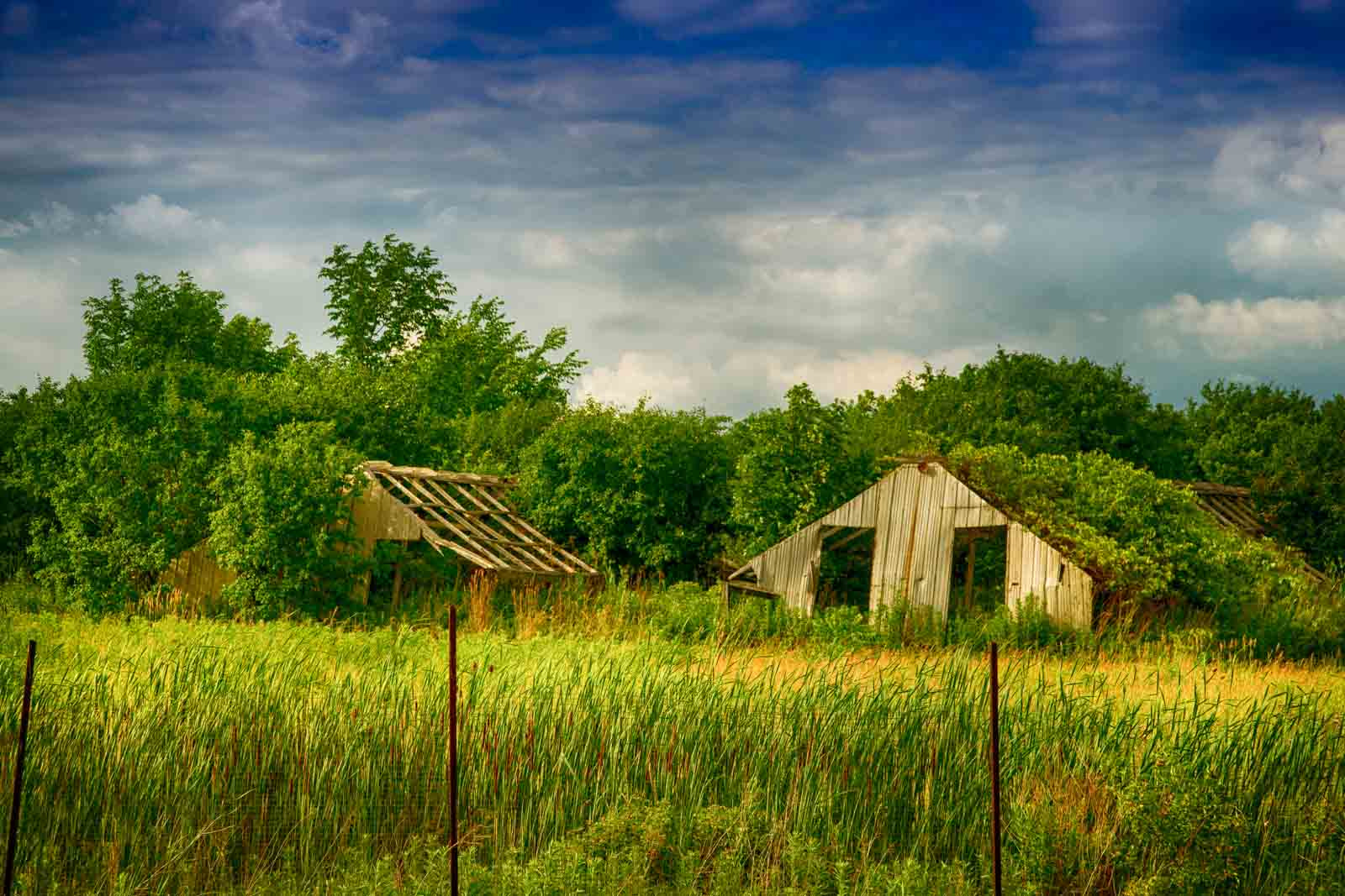 Sony Alpha DSLR-A500 sample photo. Agricultural decay in the fields- no.2 photography