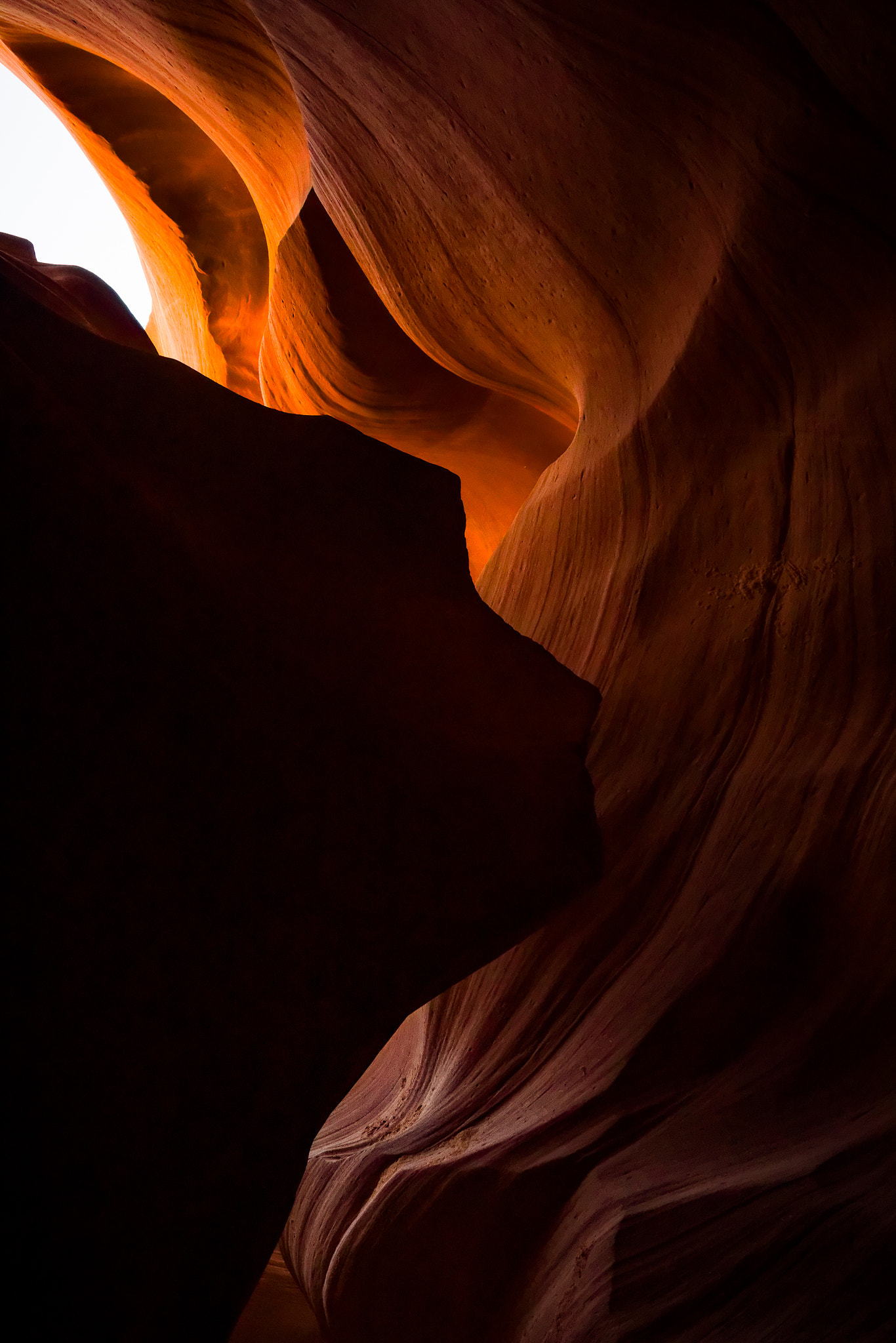 Sony a6000 + Canon EF-S 17-55mm F2.8 IS USM sample photo. Lower antelope canyon fine art - light 1 photography