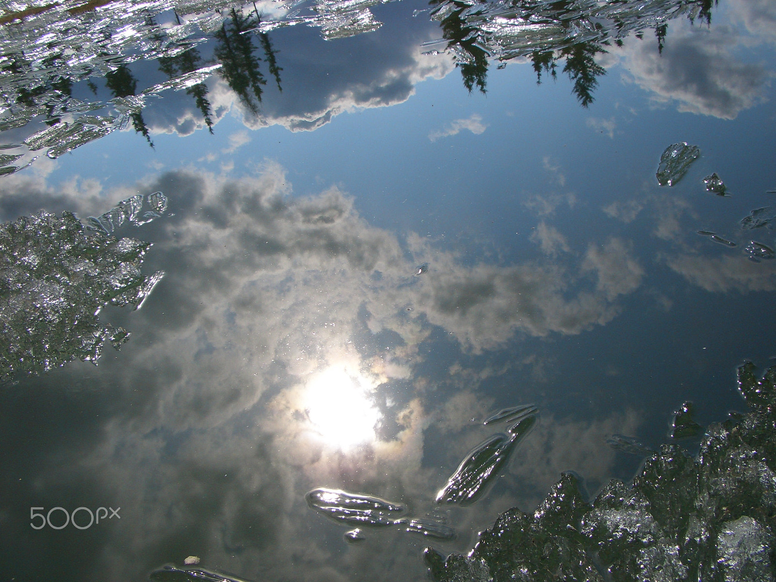 CASIO EX-Z50 sample photo. Reflection photography