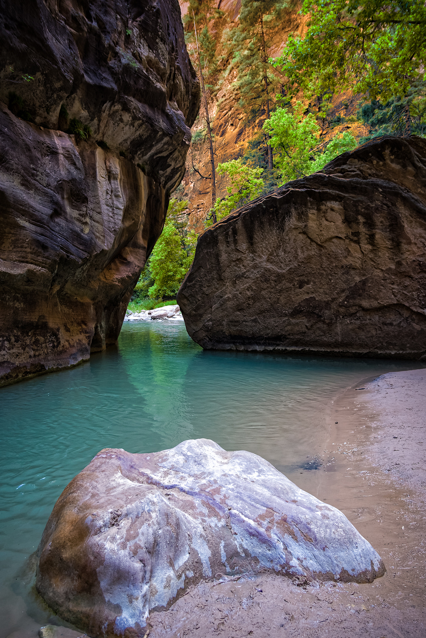 Canon EF-S 17-55mm F2.8 IS USM sample photo. Zion narrows - cool water crossroads photography
