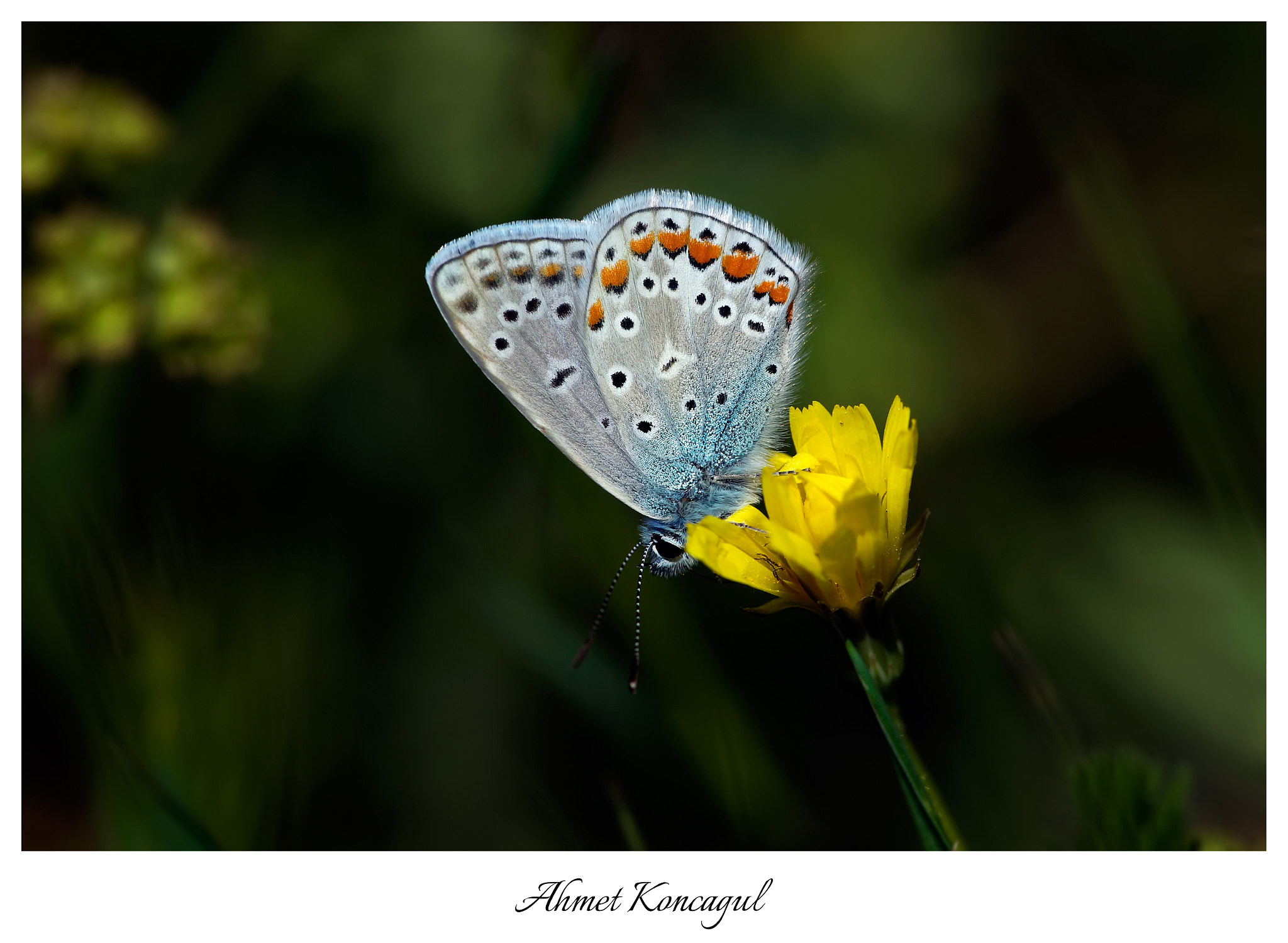 180mm F2.8 sample photo. Beauty photography