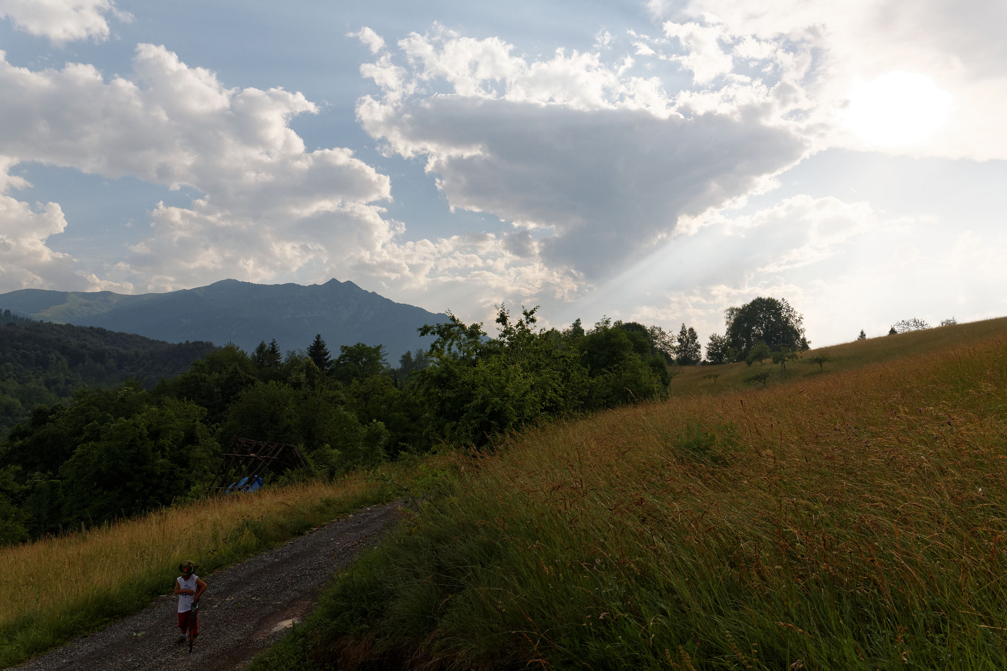 Canon EF 24-105mm F3.5-5.6 IS STM sample photo. Matter of light photography