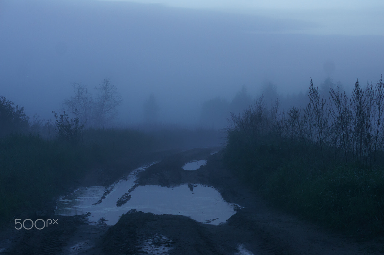 Sony Alpha NEX-5R + E 50mm F1.8 OSS sample photo. Fog on a country road photography