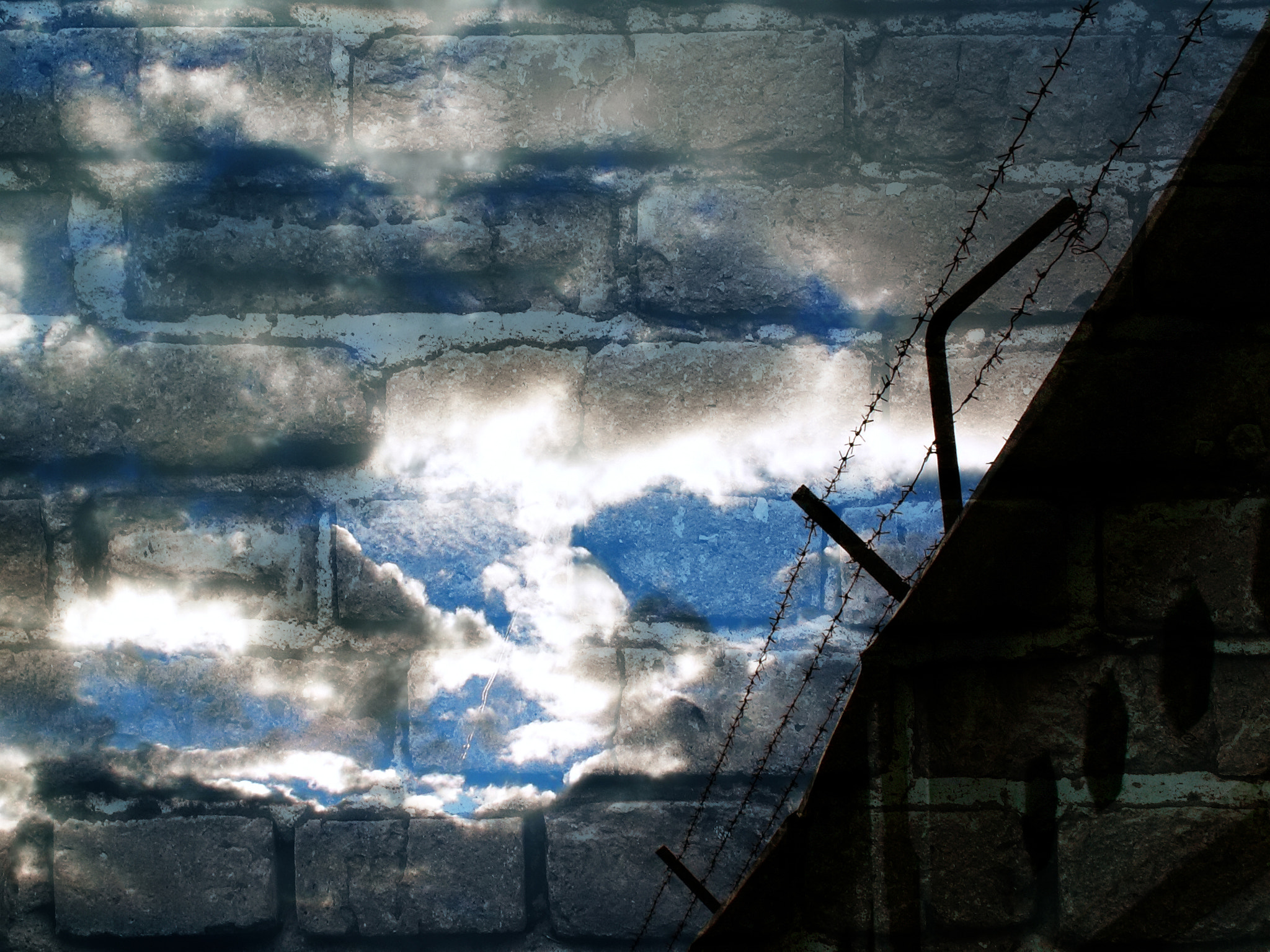 KONICA MINOLTA DiMAGE Z3 sample photo. Barbed wire photography