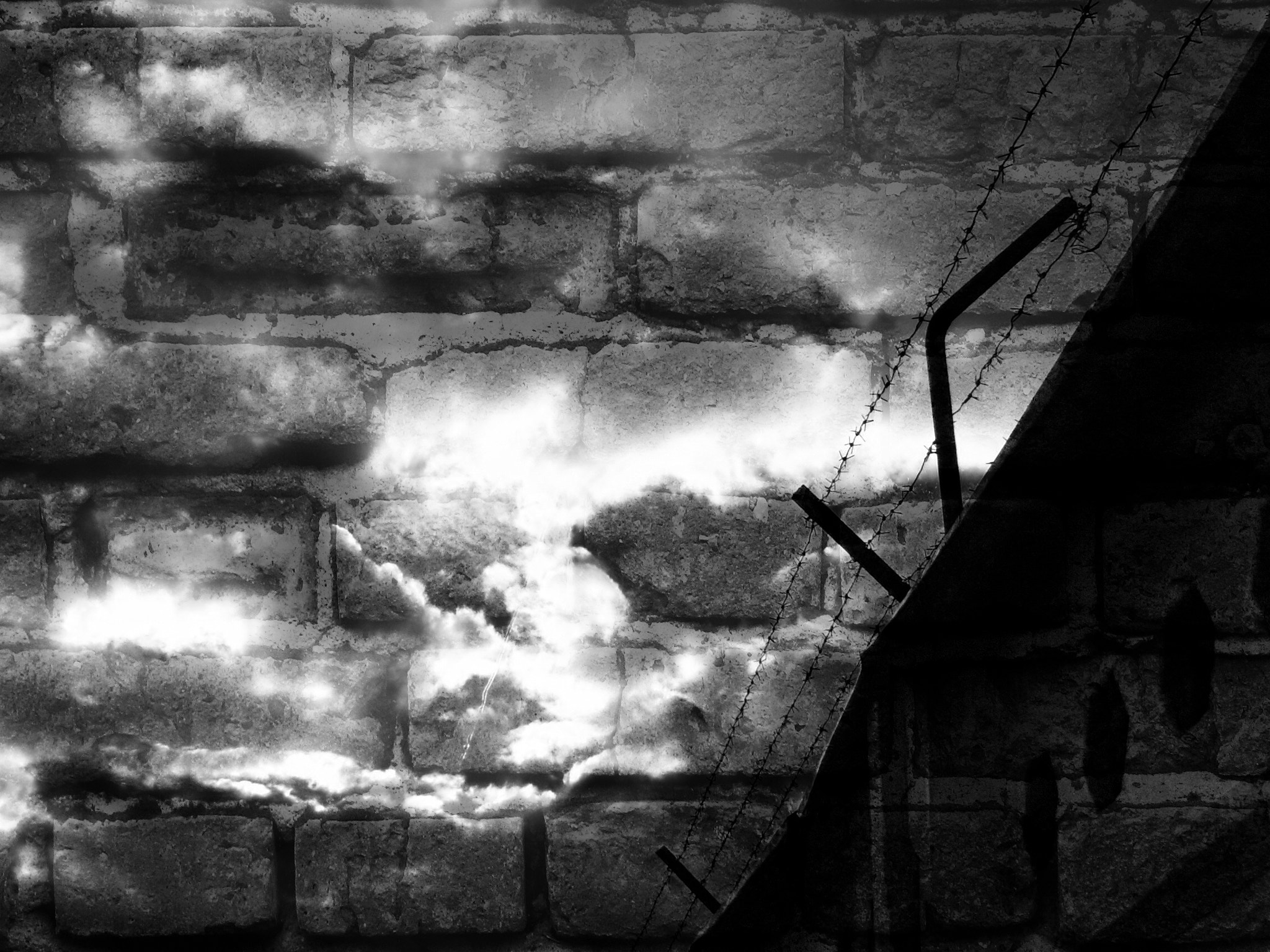 KONICA MINOLTA DiMAGE Z3 sample photo. Barbed wire photography