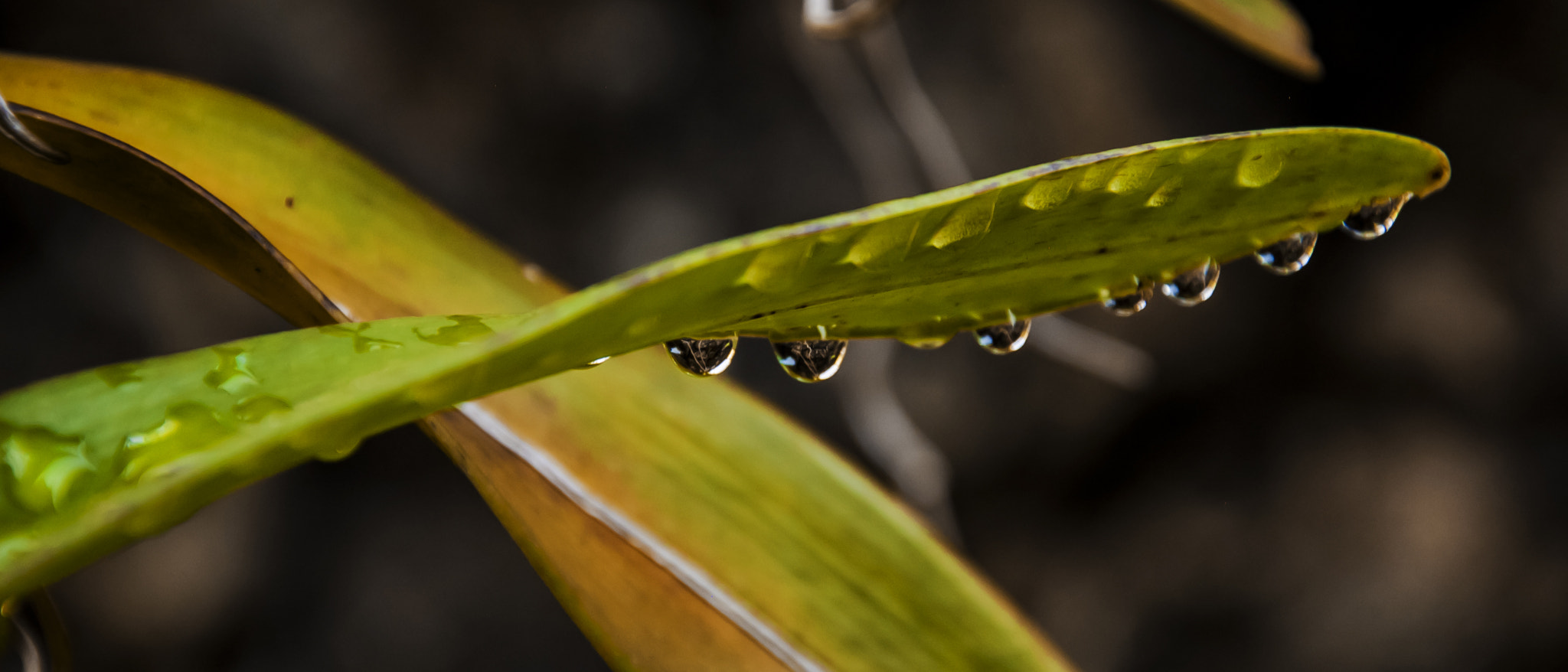 Nikon D50 sample photo. Hanging by a moment photography
