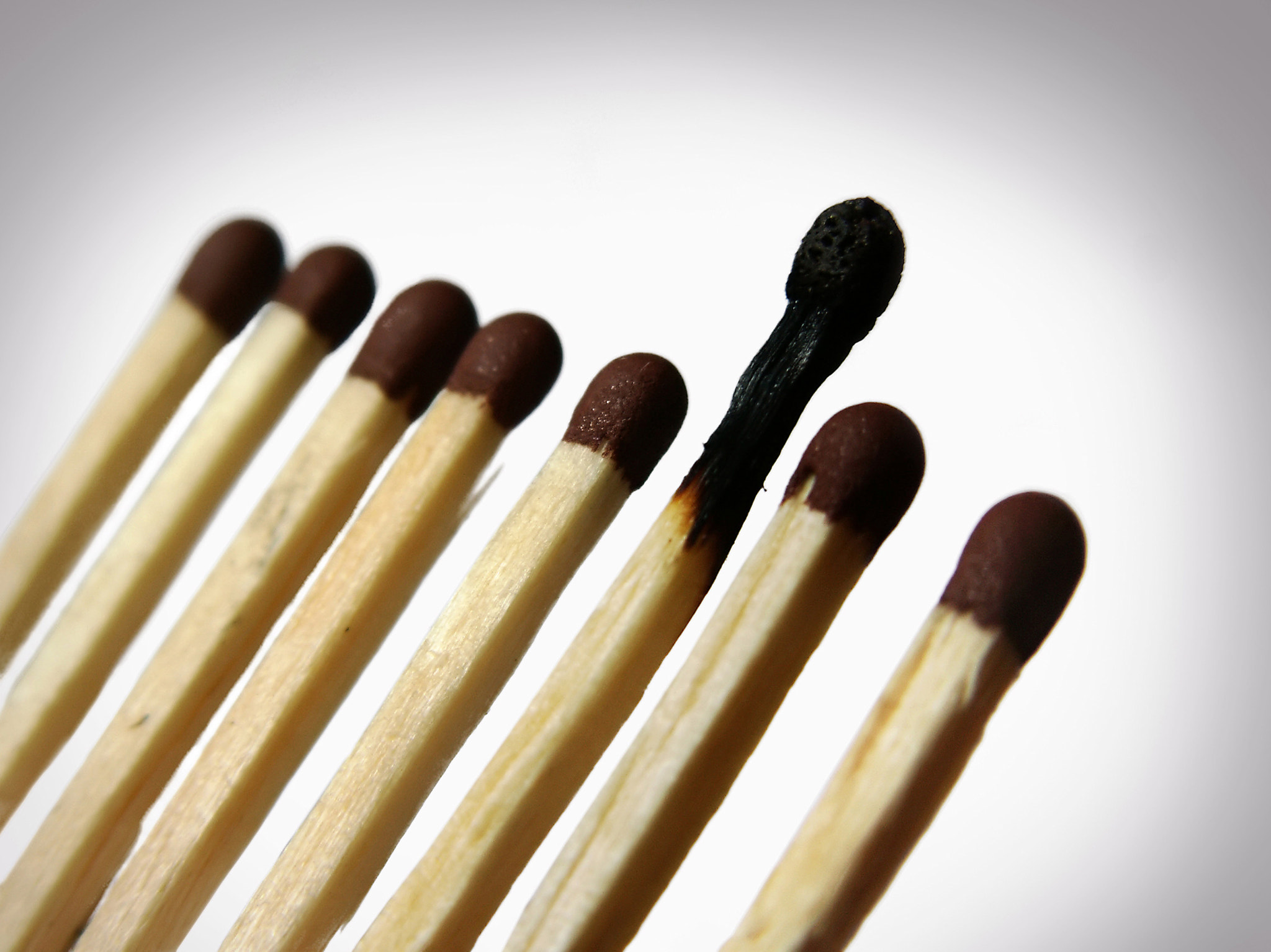 KONICA MINOLTA DiMAGE Z3 sample photo. Number of matches photography