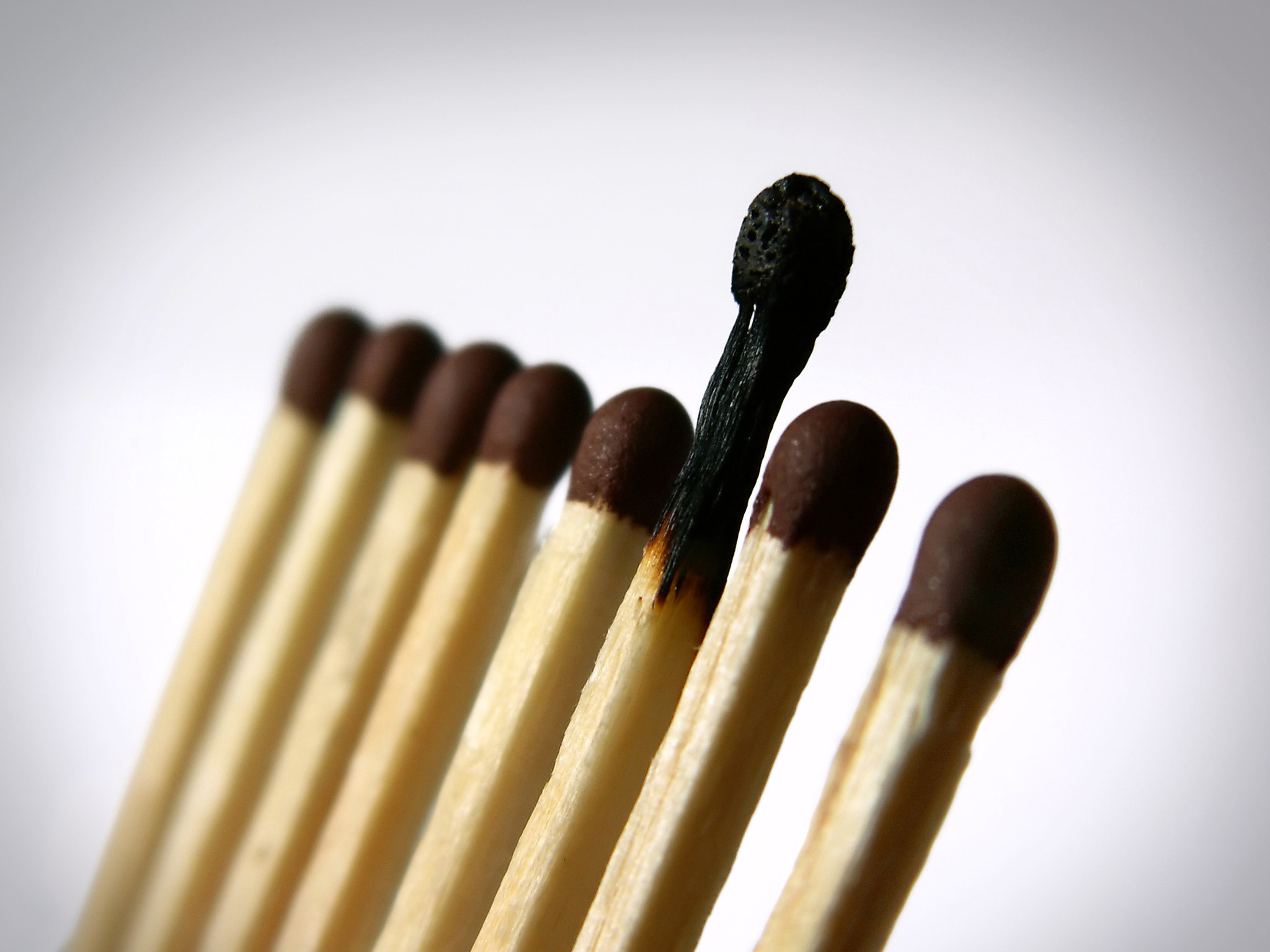 KONICA MINOLTA DiMAGE Z3 sample photo. Number of matches photography