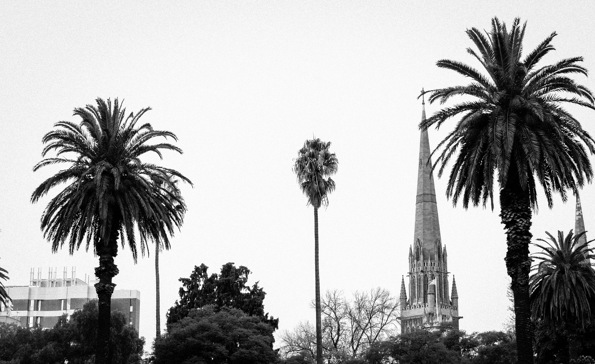 Vario-Elmar T 1:3.5-5.6 / 18-56 ASPH. sample photo. Fitzroy photography
