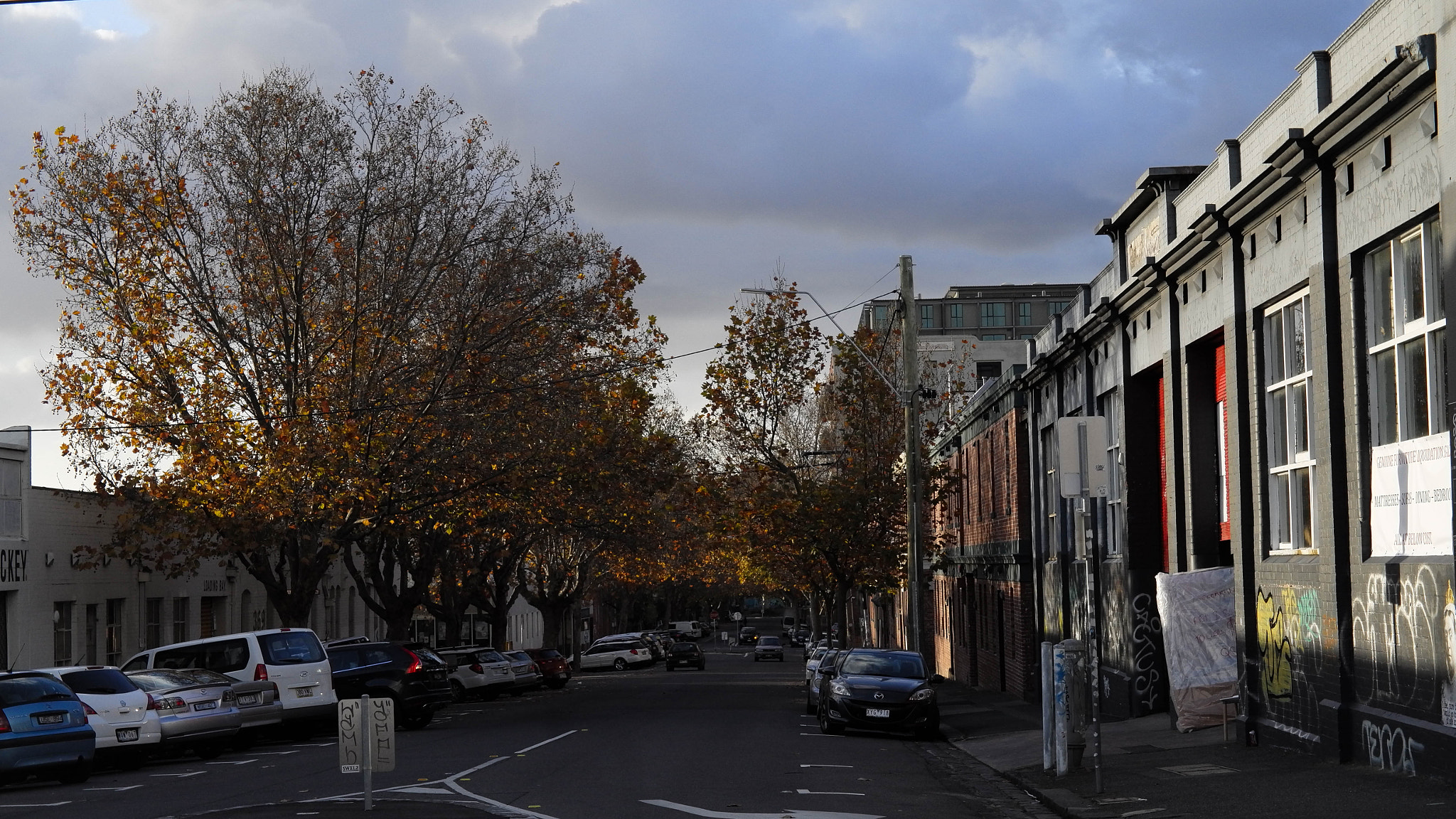Vario-Elmar T 1:3.5-5.6 / 18-56 ASPH. sample photo. Fitzroy photography