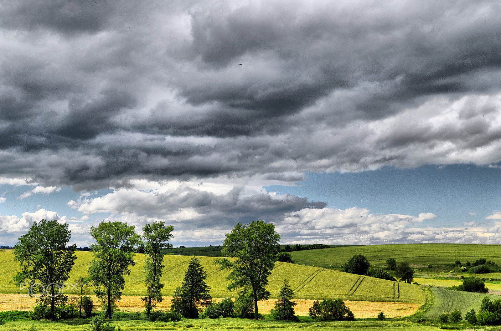 Sigma 17-70mm F2.8-4.5 DC Macro sample photo. Summer... photography