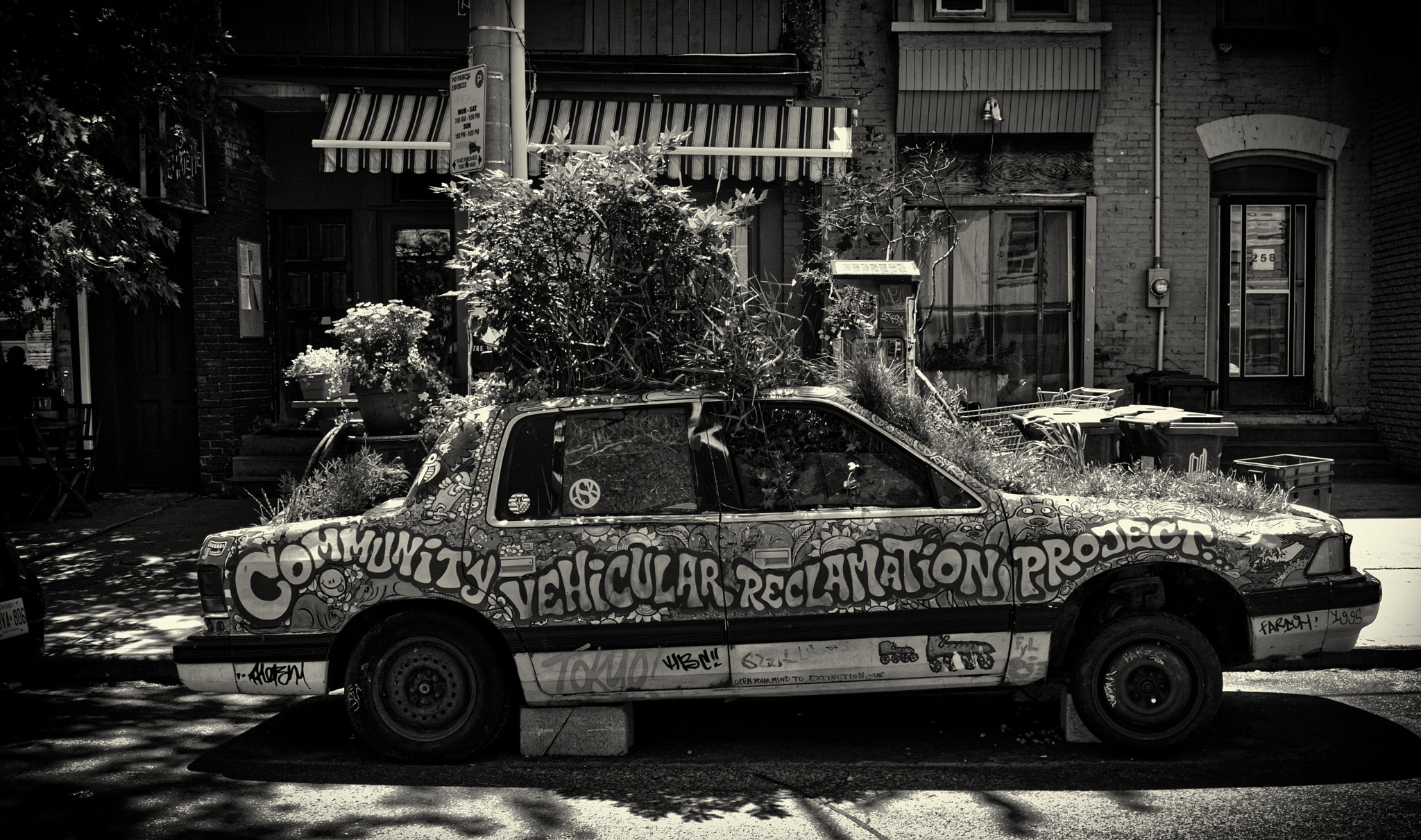 Olympus PEN E-P1 sample photo. Should have paid the parking ticket photography