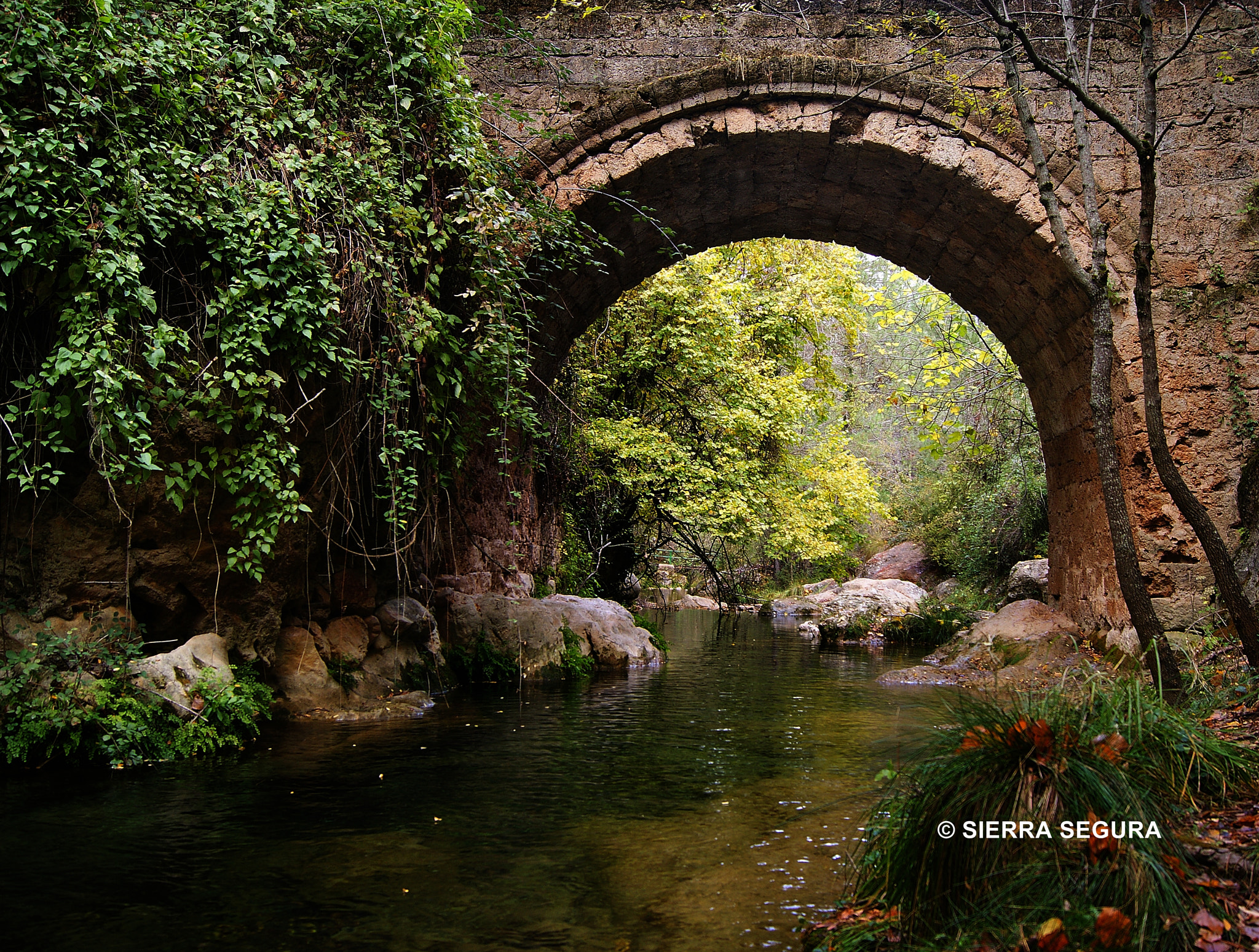 Sony Alpha DSLR-A380 + Sony DT 18-55mm F3.5-5.6 SAM sample photo. Puente de las herrerías photography