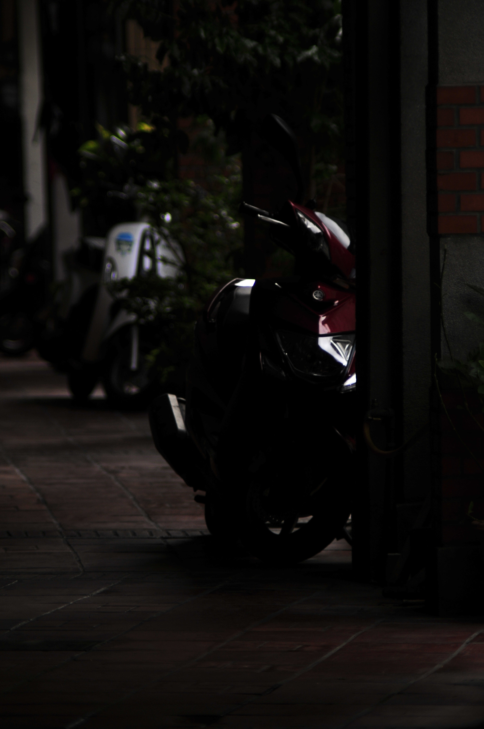 Nikon D300 + Manual Lens No CPU sample photo. .. photography