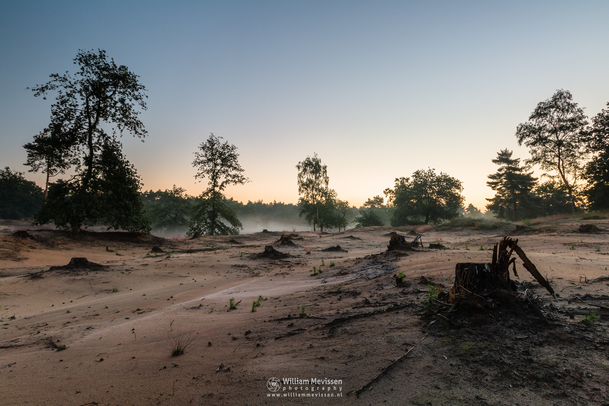 Canon EOS 70D + Canon EF-S 10-18mm F4.5–5.6 IS STM sample photo. Misty twilight boshuizerbergen photography