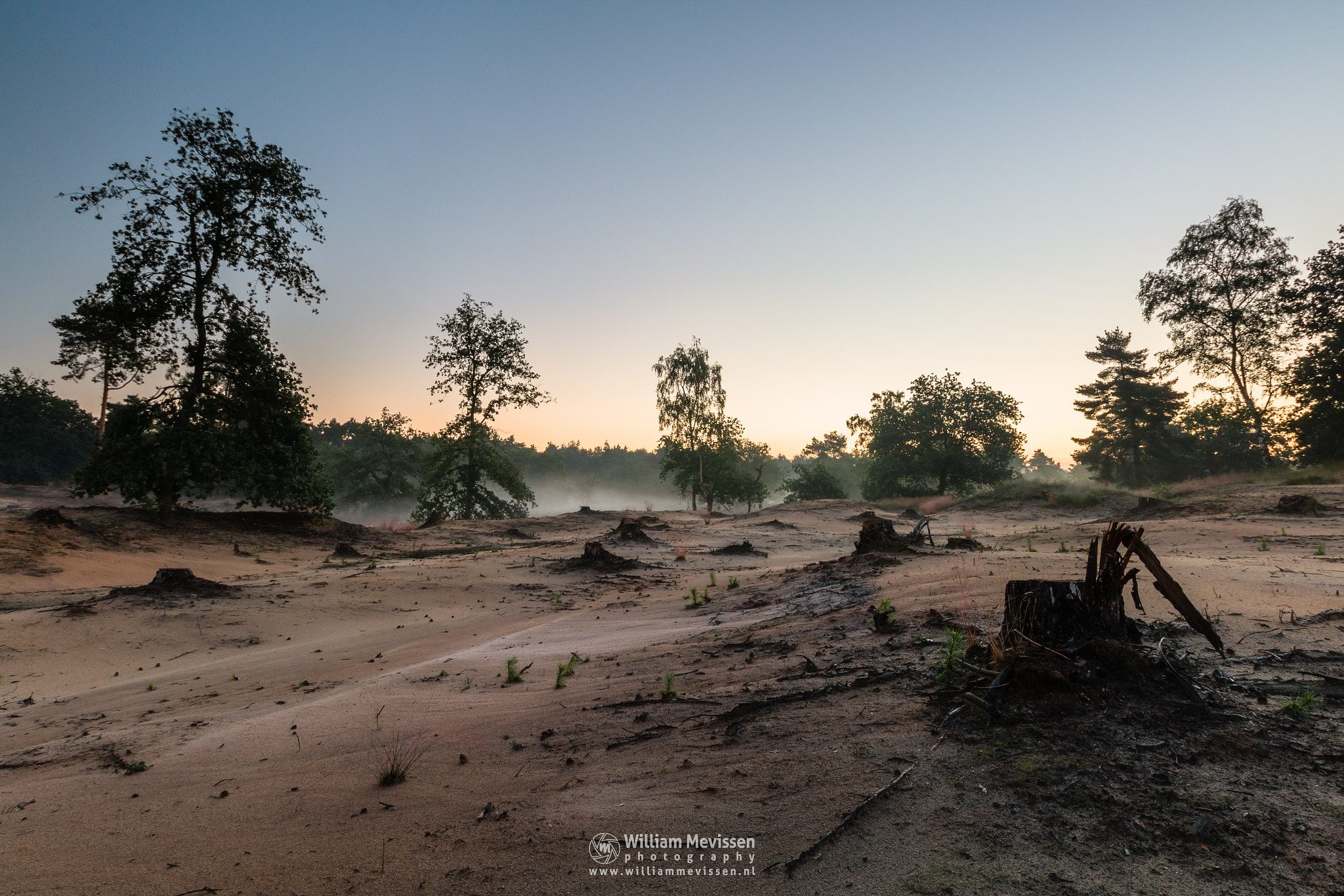 Canon EF-S 10-18mm F4.5–5.6 IS STM sample photo. Misty twilight boshuizerbergen photography
