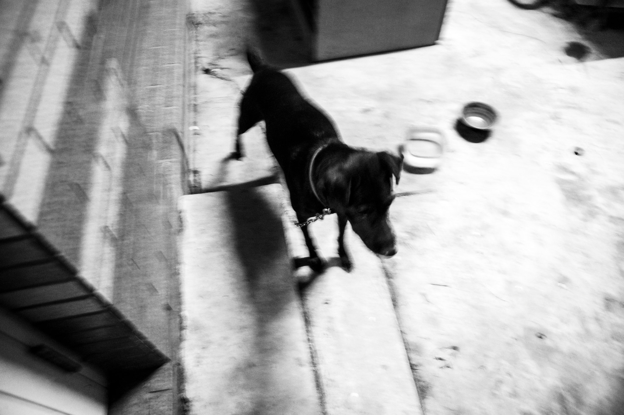 Sony SLT-A33 sample photo. Untitled photography