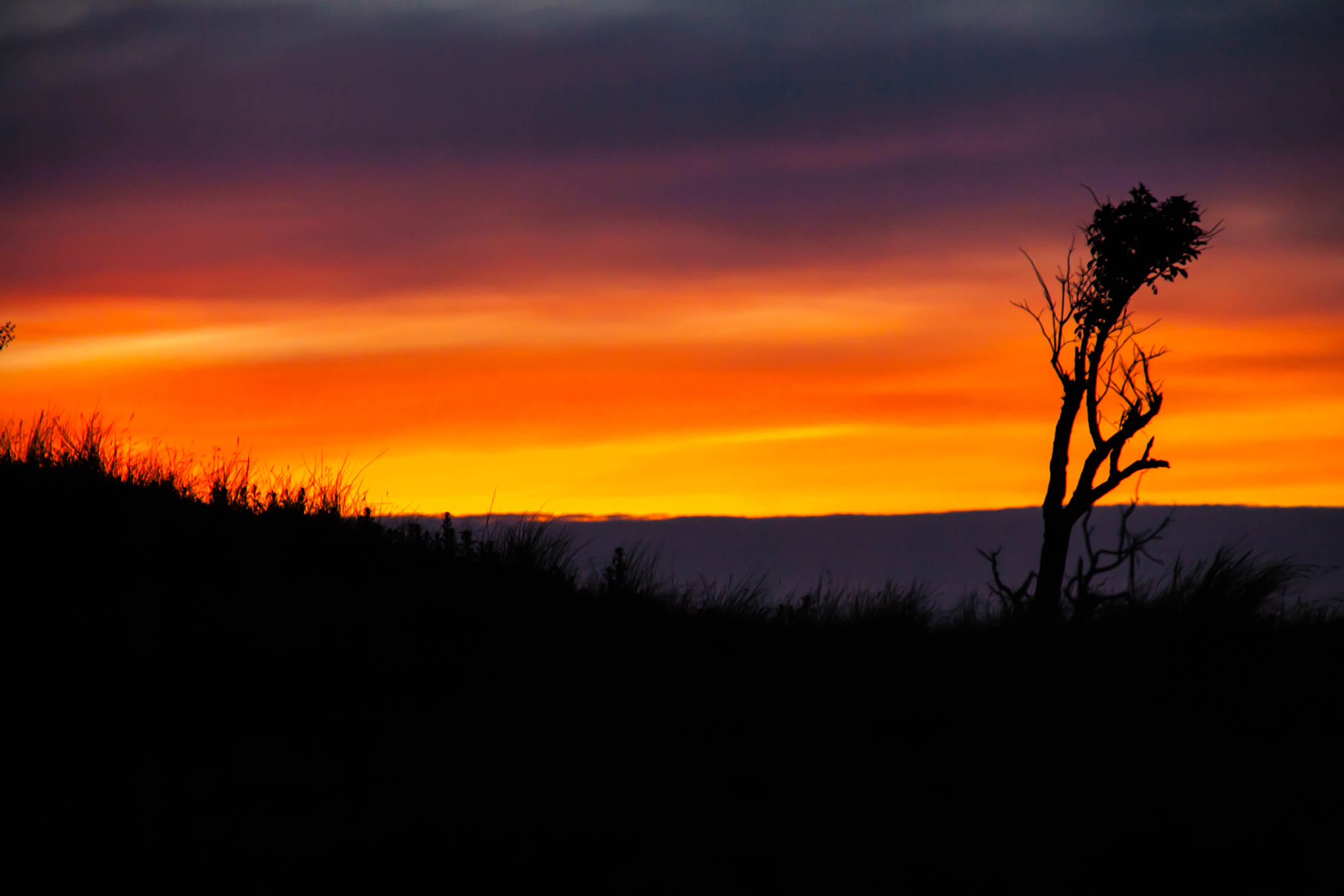 Sigma 18-200mm f/3.5-6.3 DC OS sample photo. Watch the sun set with me <3 photography