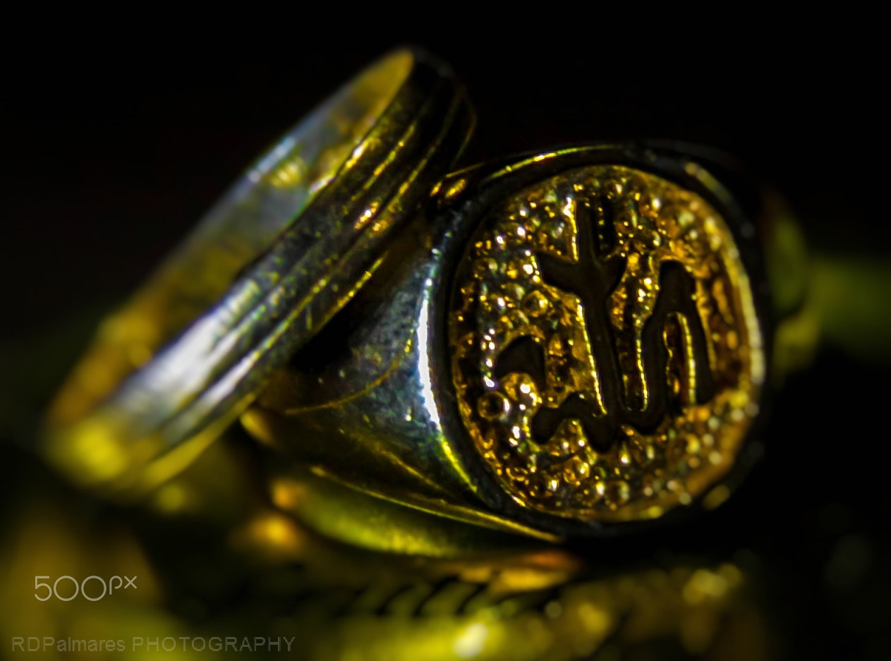 Canon EOS 40D sample photo. Ring shot photography