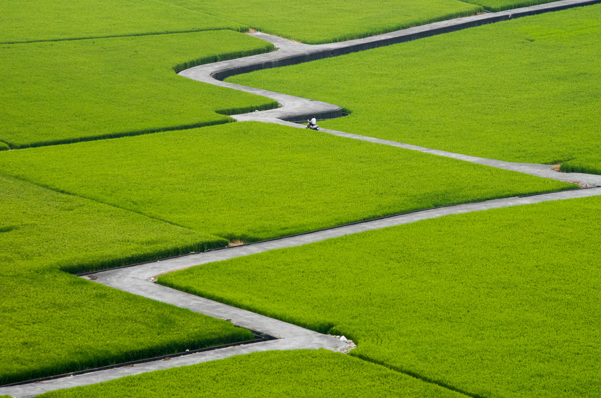 smc PENTAX-DA L 55-300mm F4-5.8 ED sample photo. Farm maze photography
