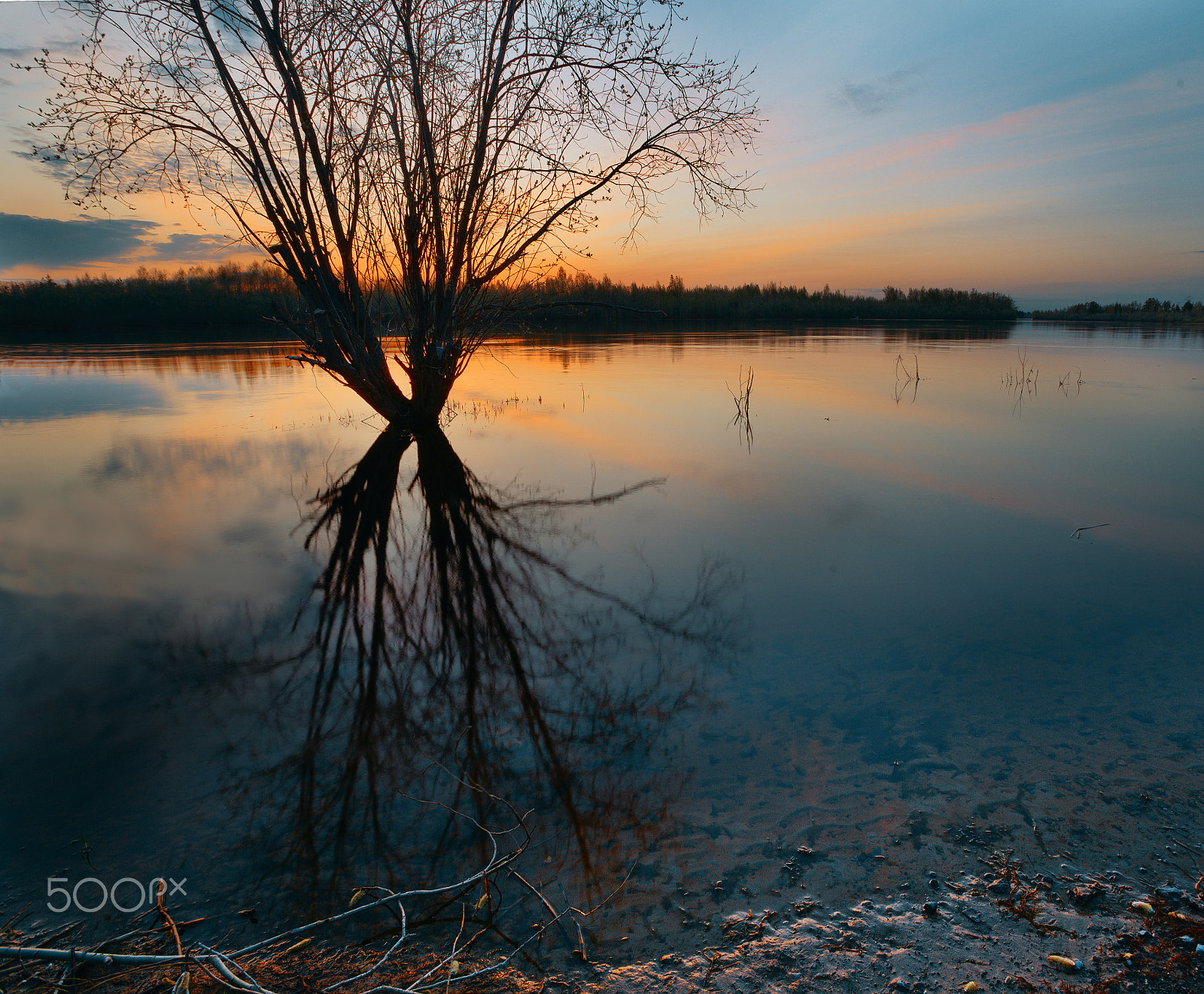 17.0 - 40.0 mm sample photo. Agan river photography
