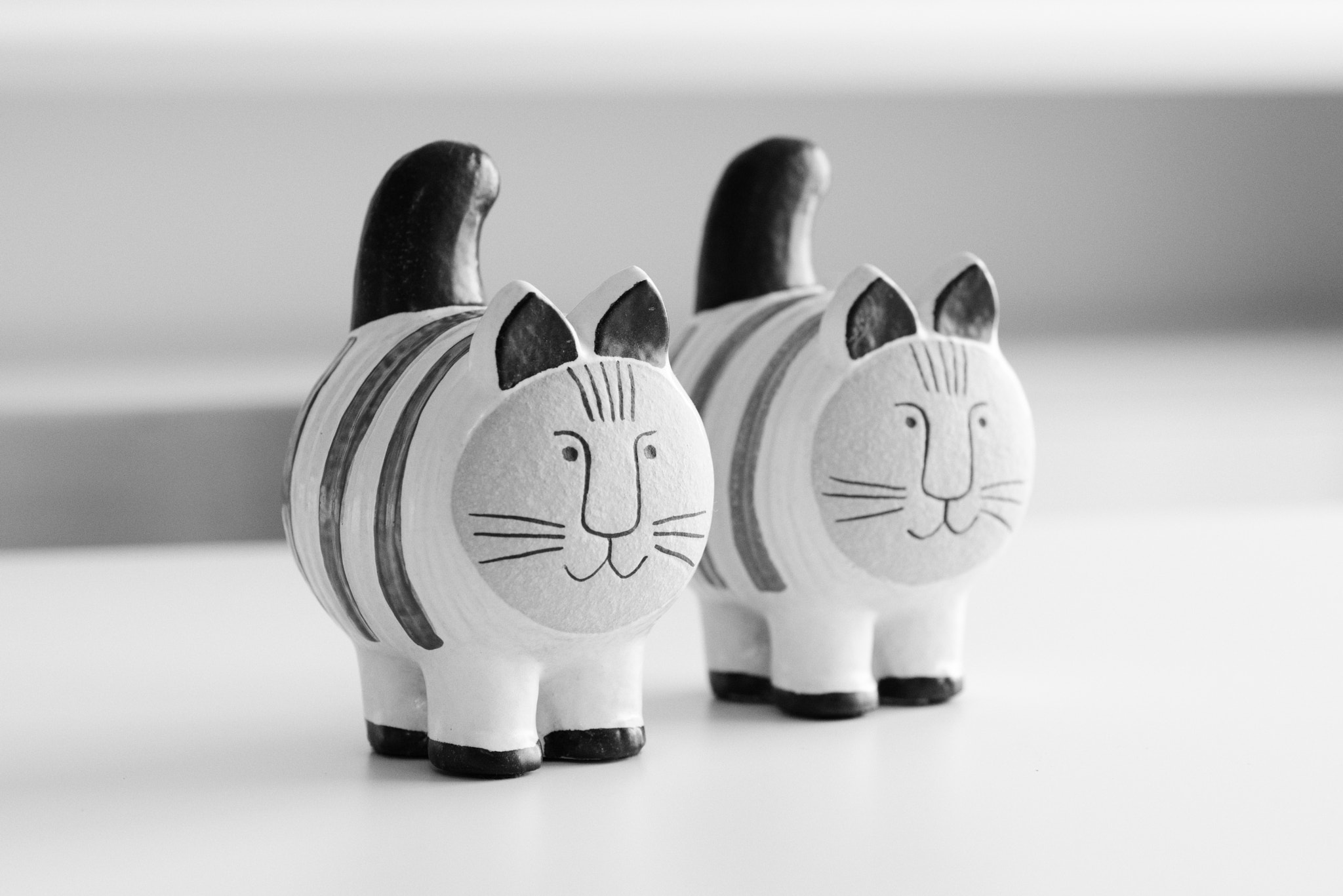 Nikon D600 sample photo. Dieci cat | lisa larson photography